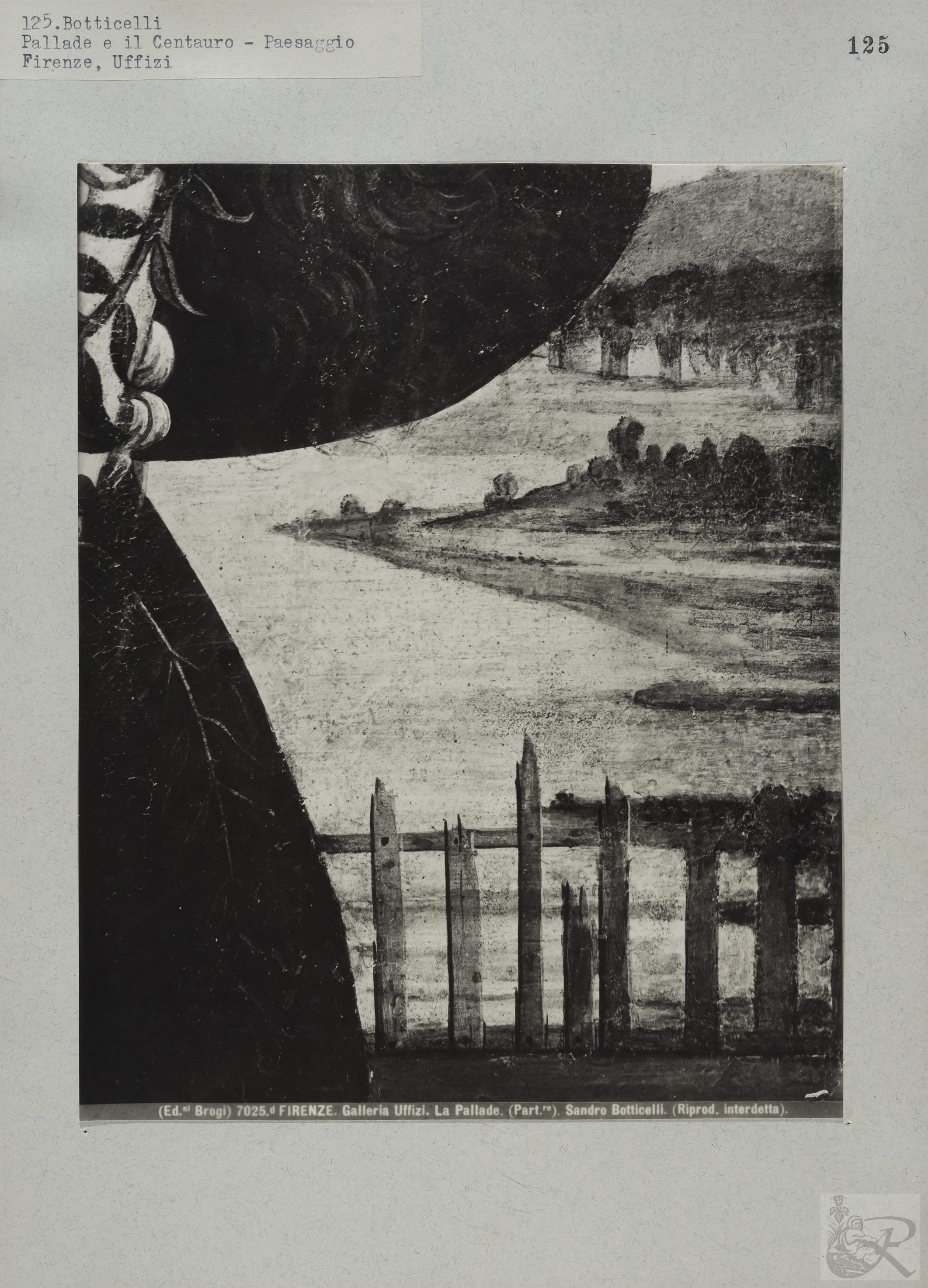 Immagine di anteprima