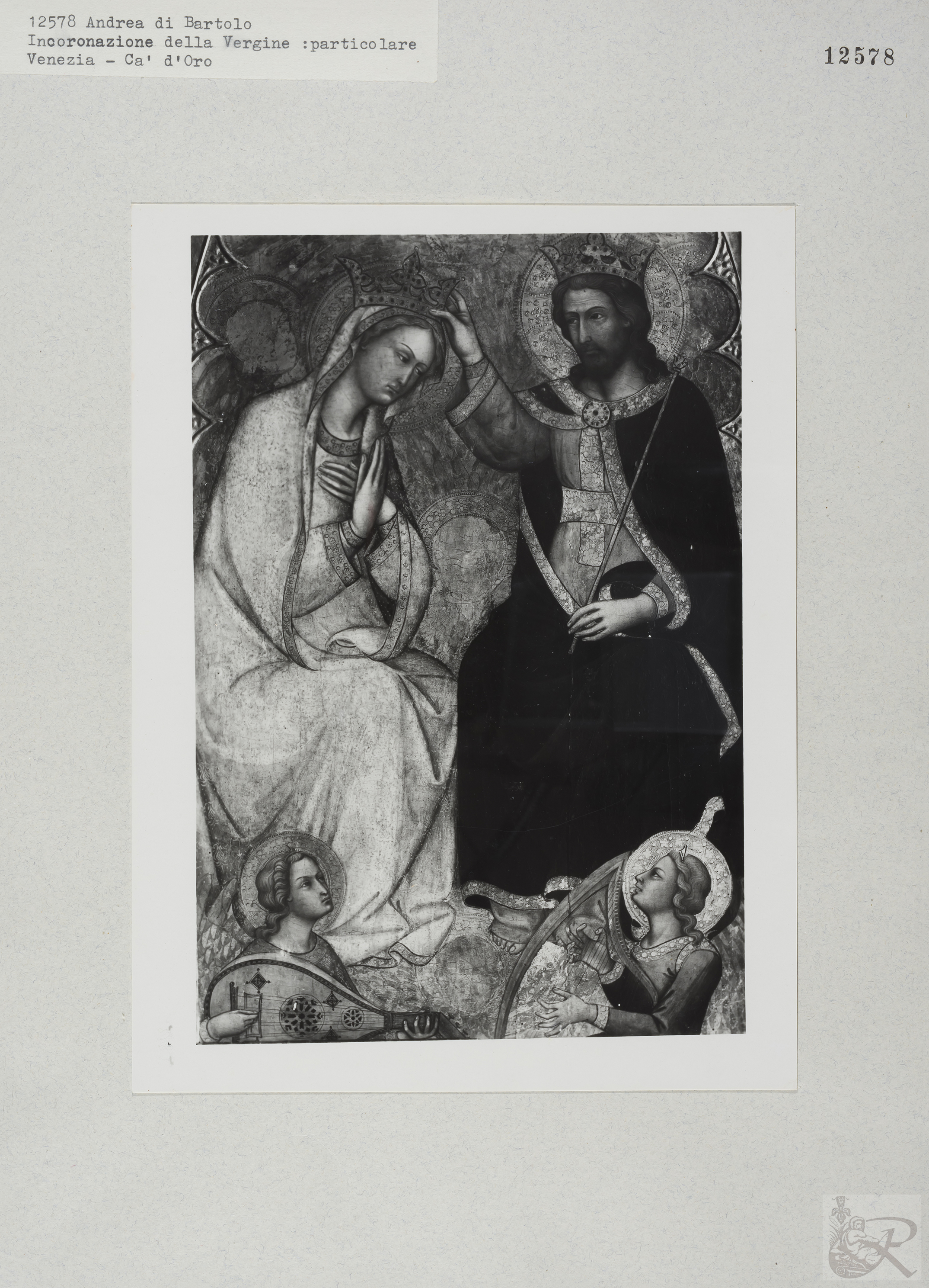 Immagine di anteprima