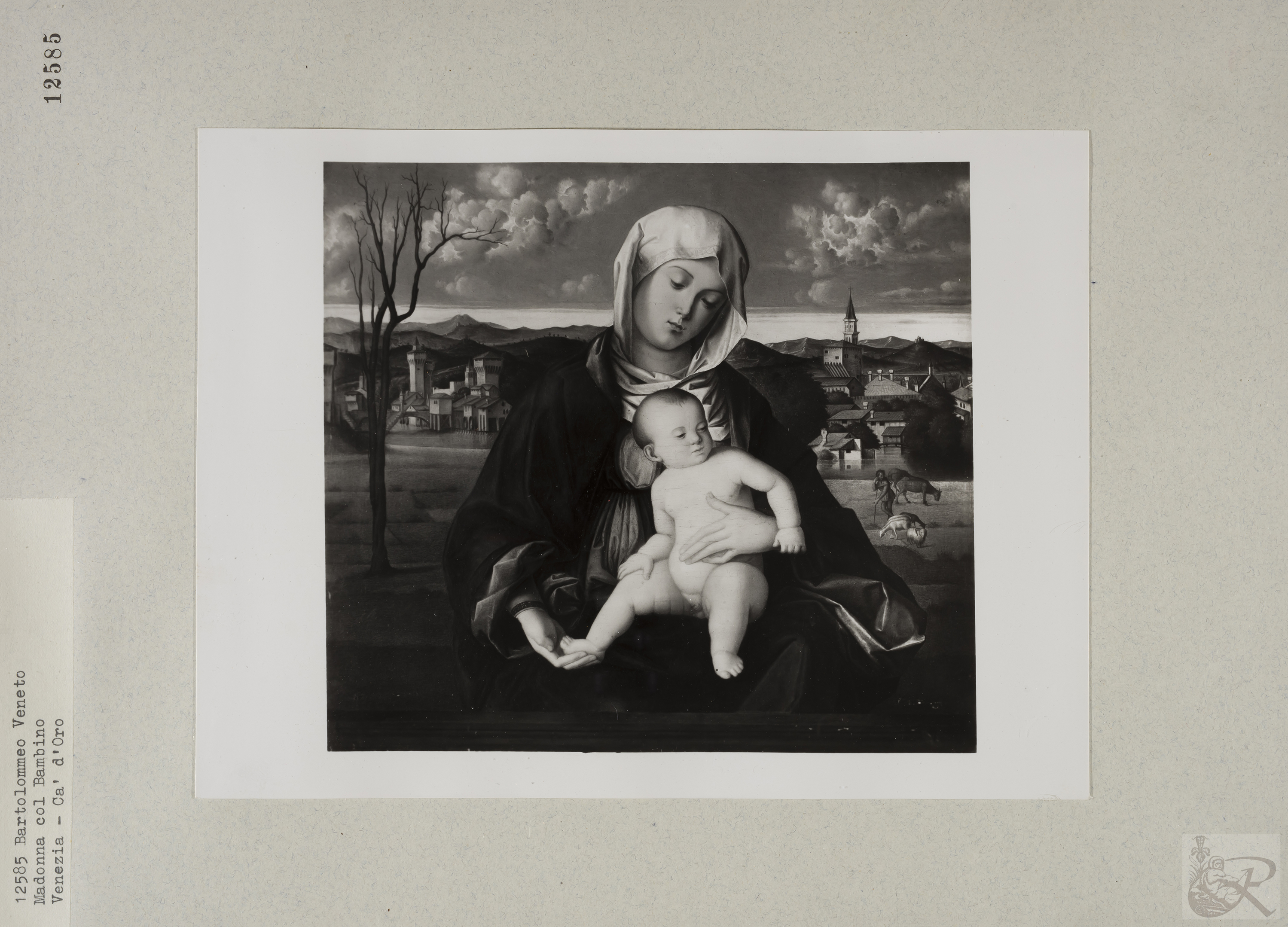 Immagine di anteprima