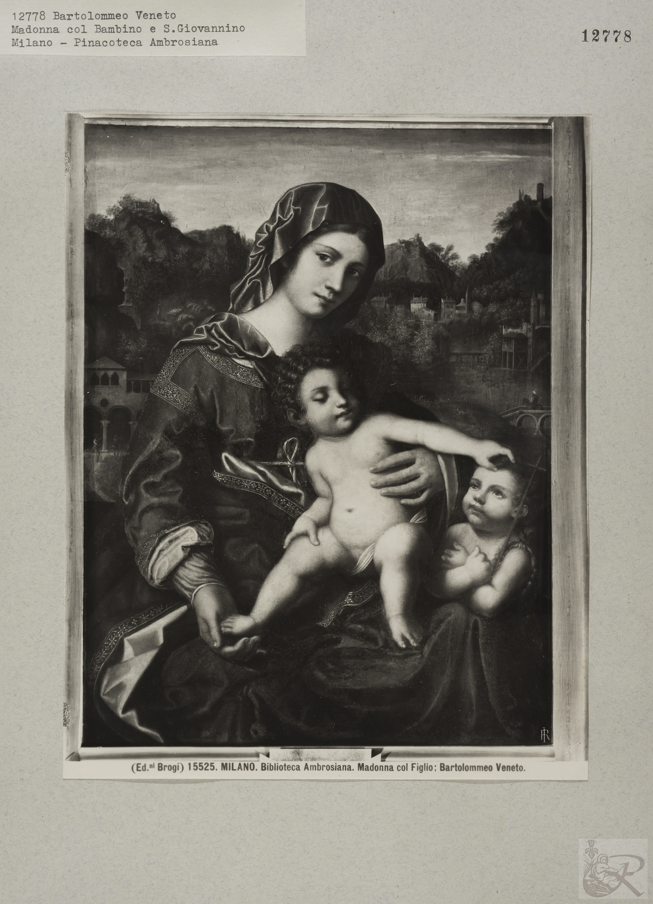 Immagine di anteprima