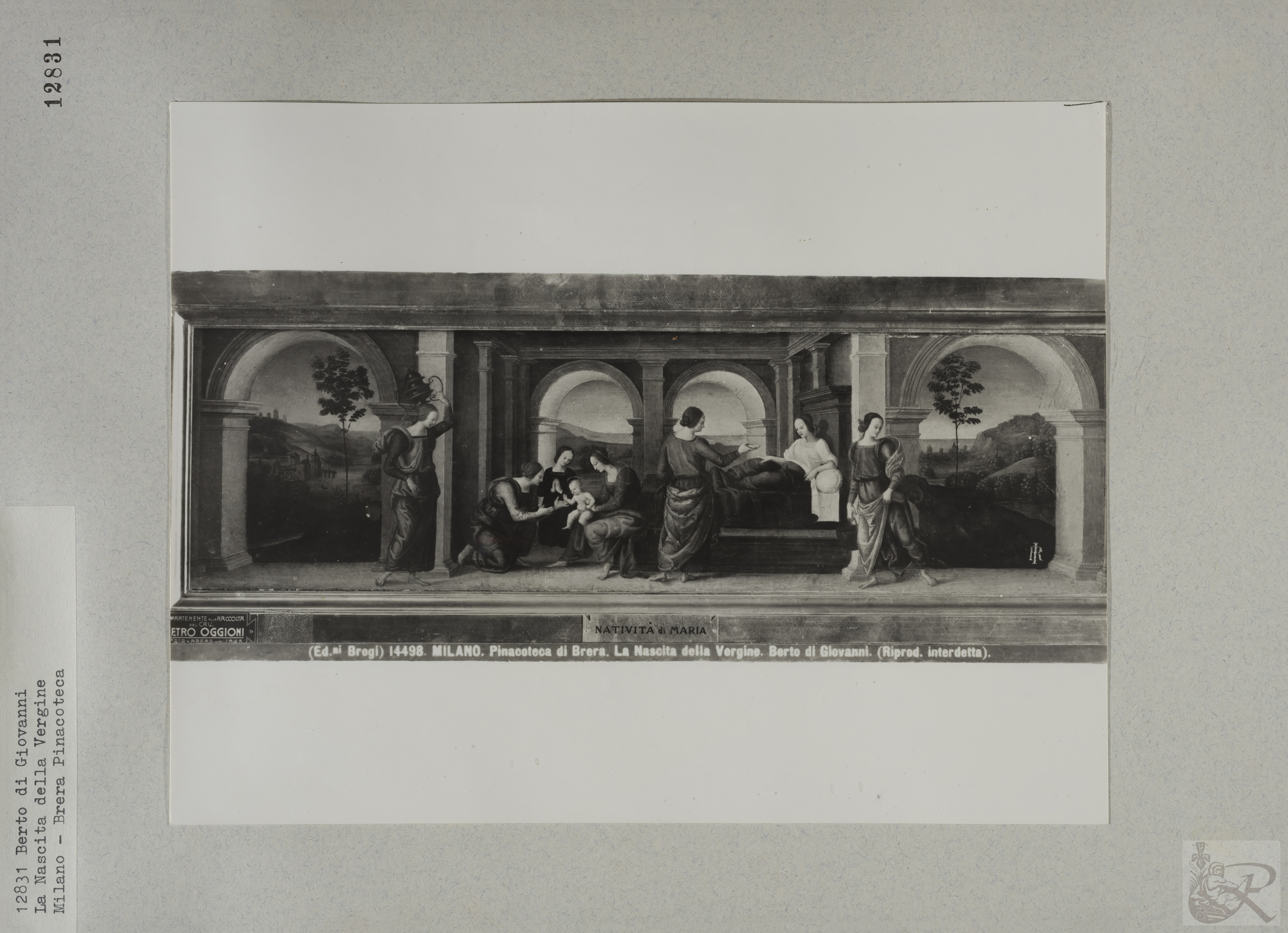 Immagine di anteprima