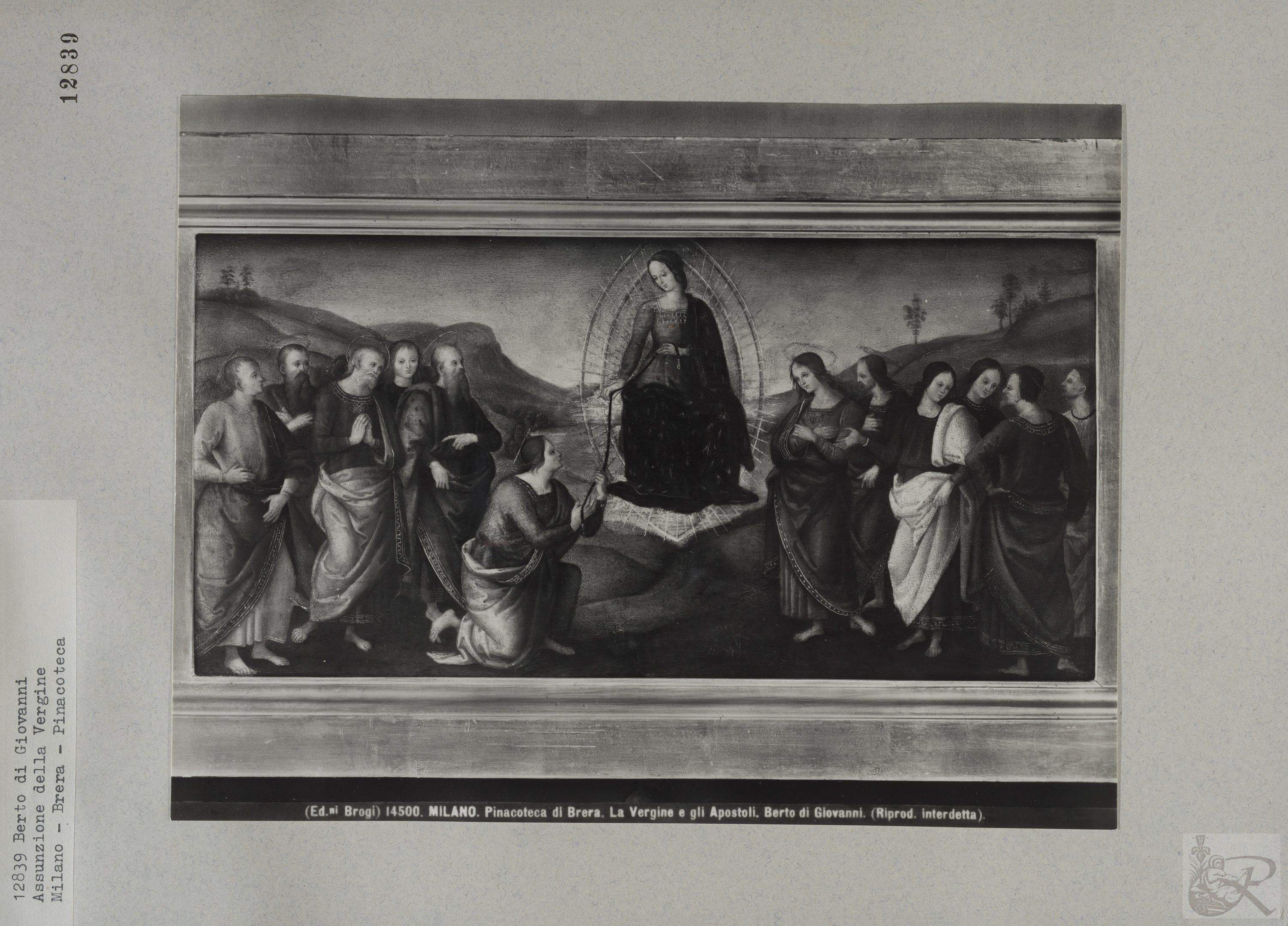 Immagine di anteprima