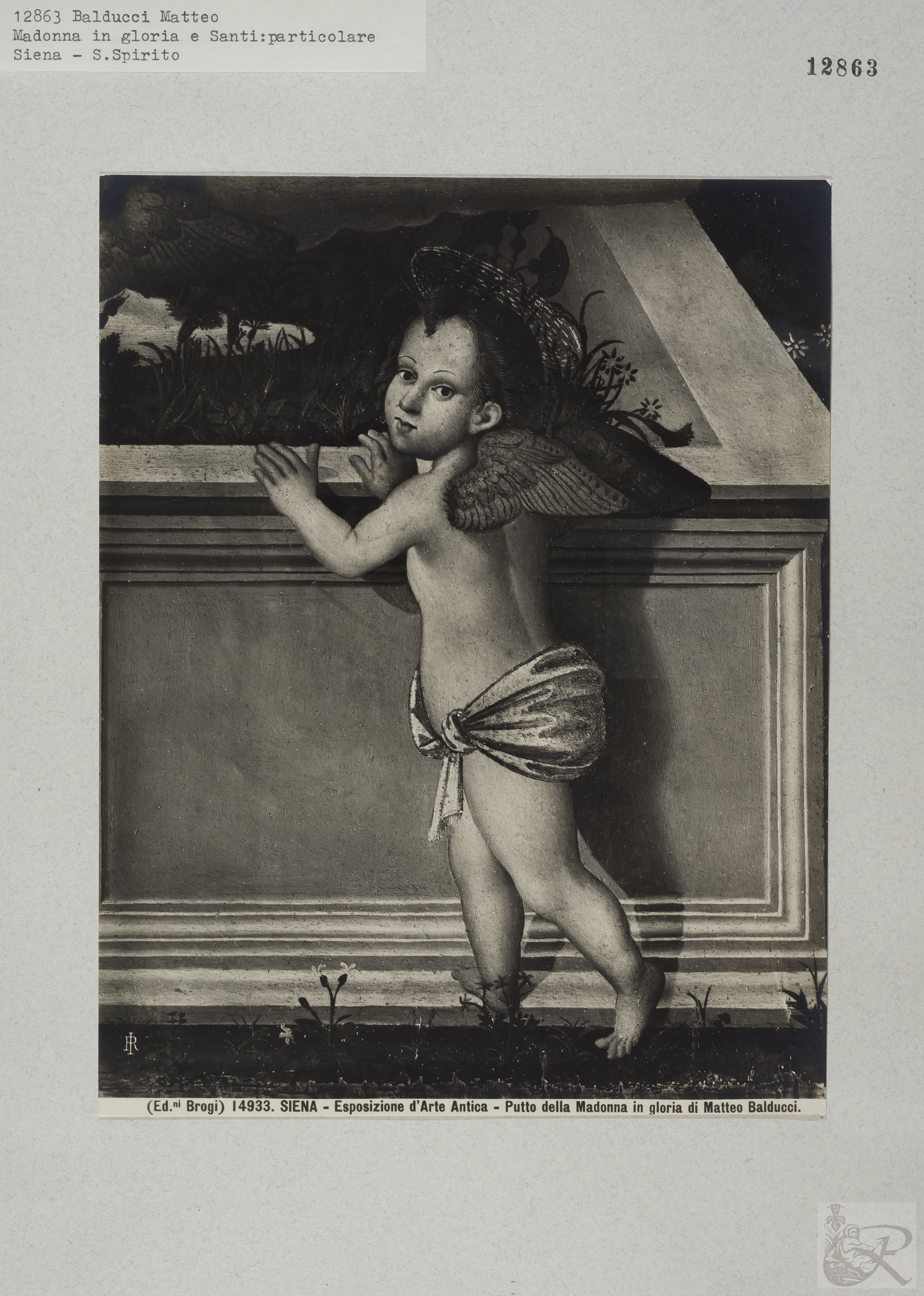 Immagine di anteprima