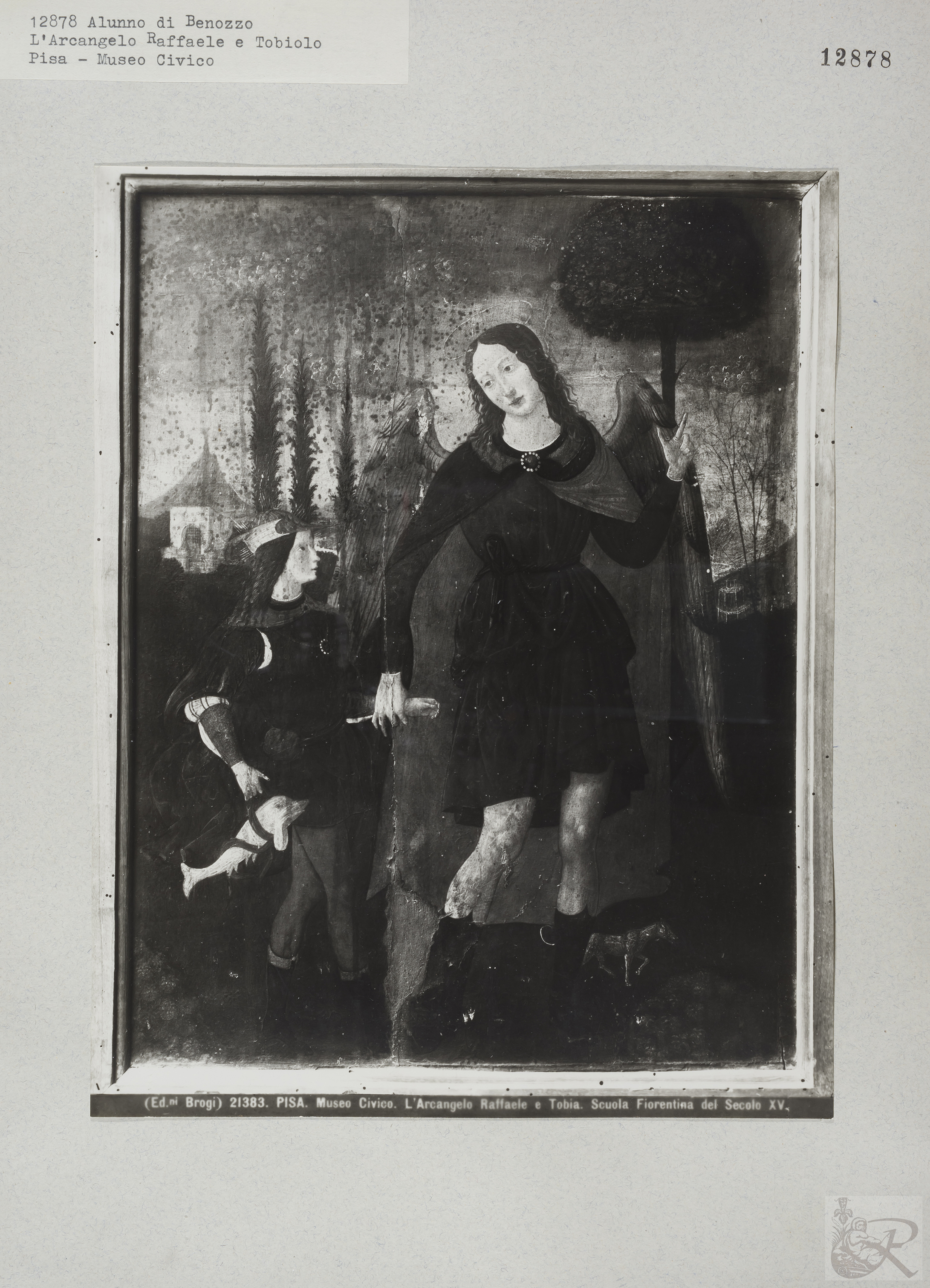 Immagine di anteprima