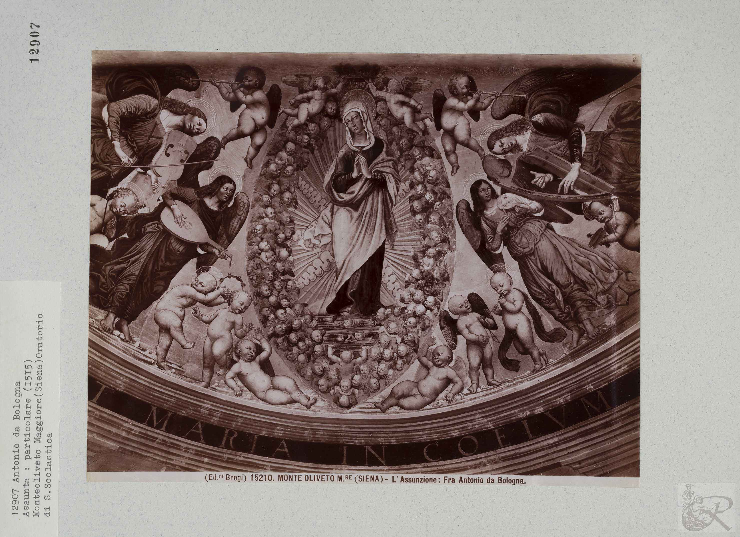 Immagine di anteprima