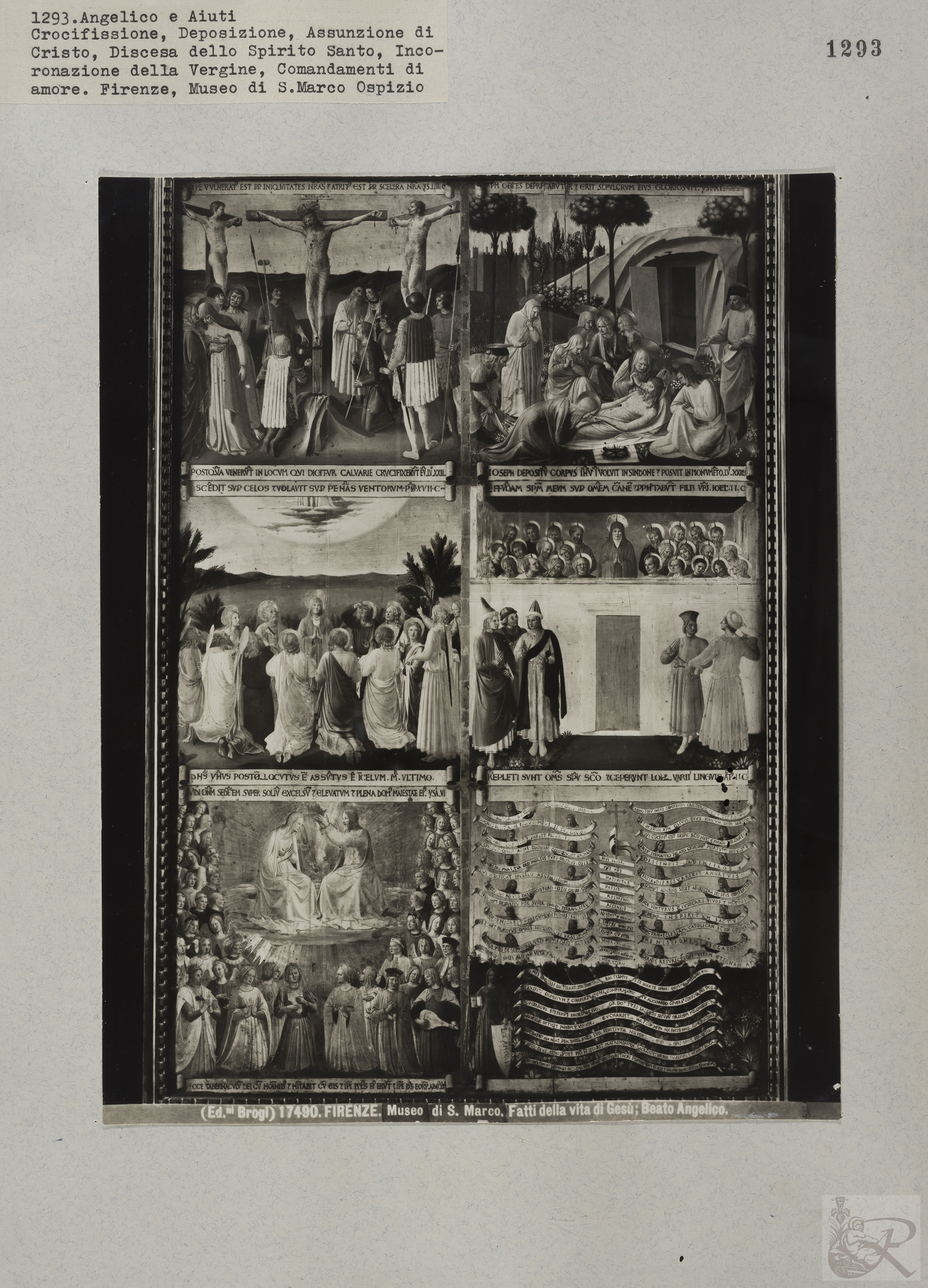 Immagine di anteprima