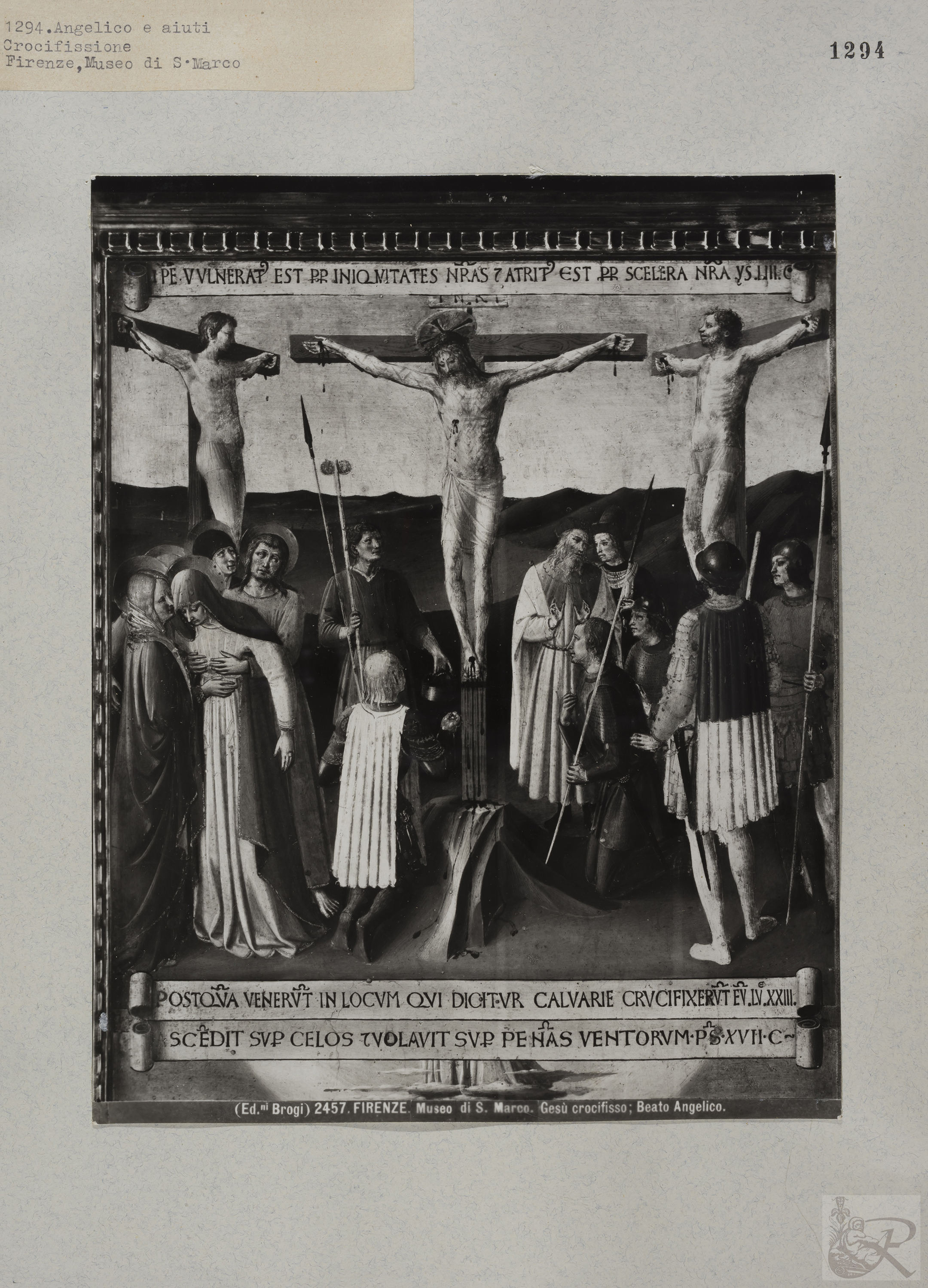 Immagine di anteprima