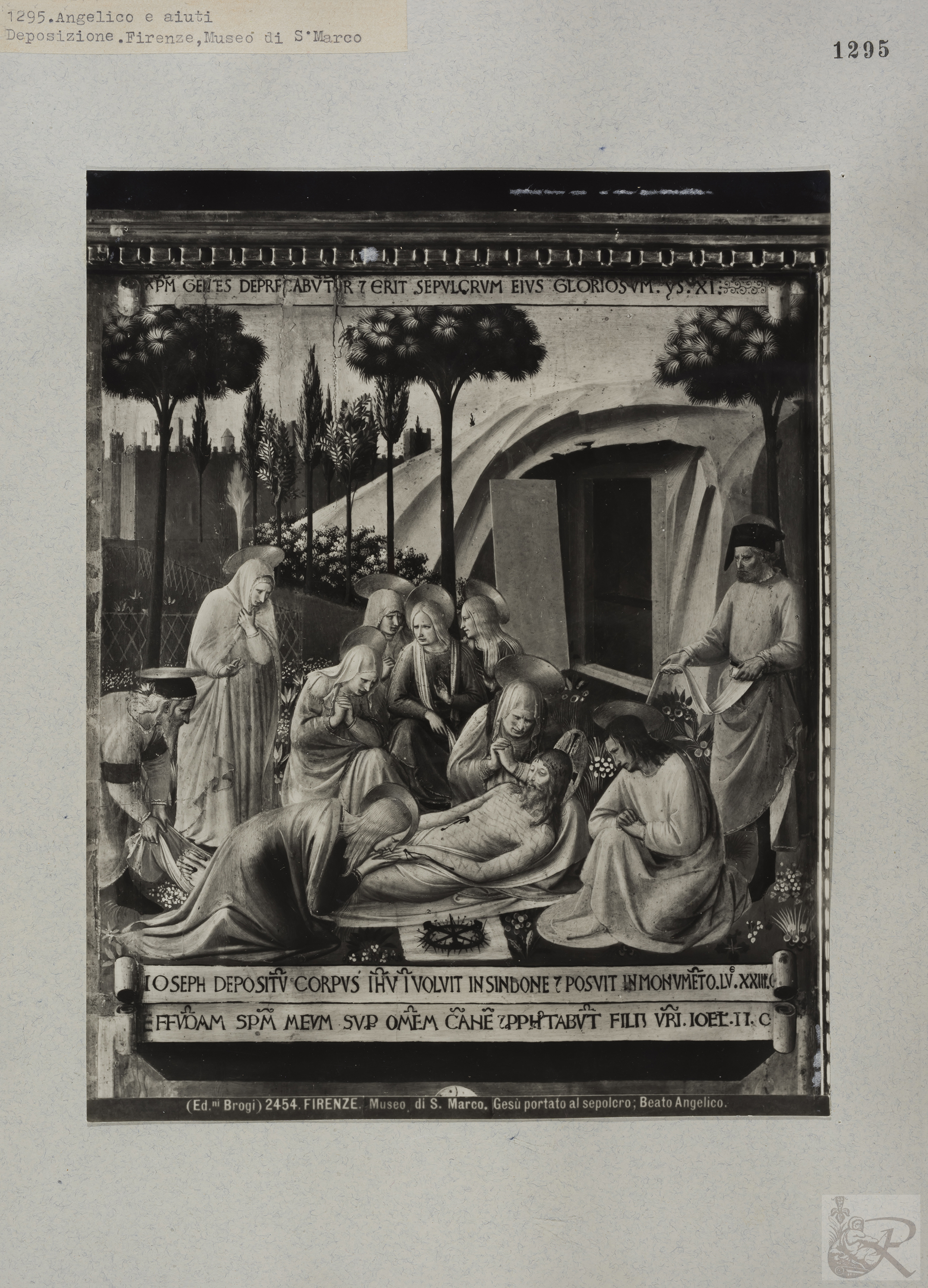 Immagine di anteprima