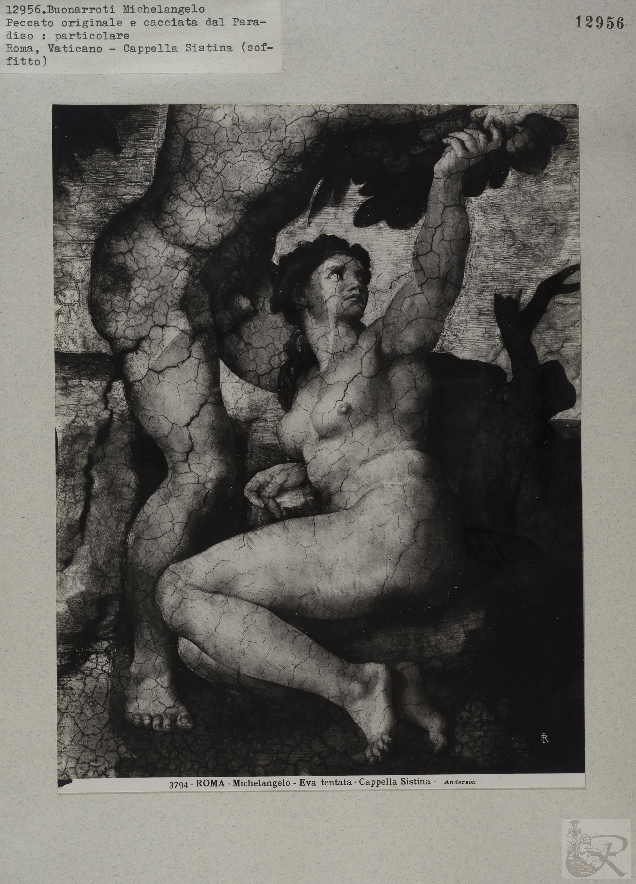 Immagine di anteprima