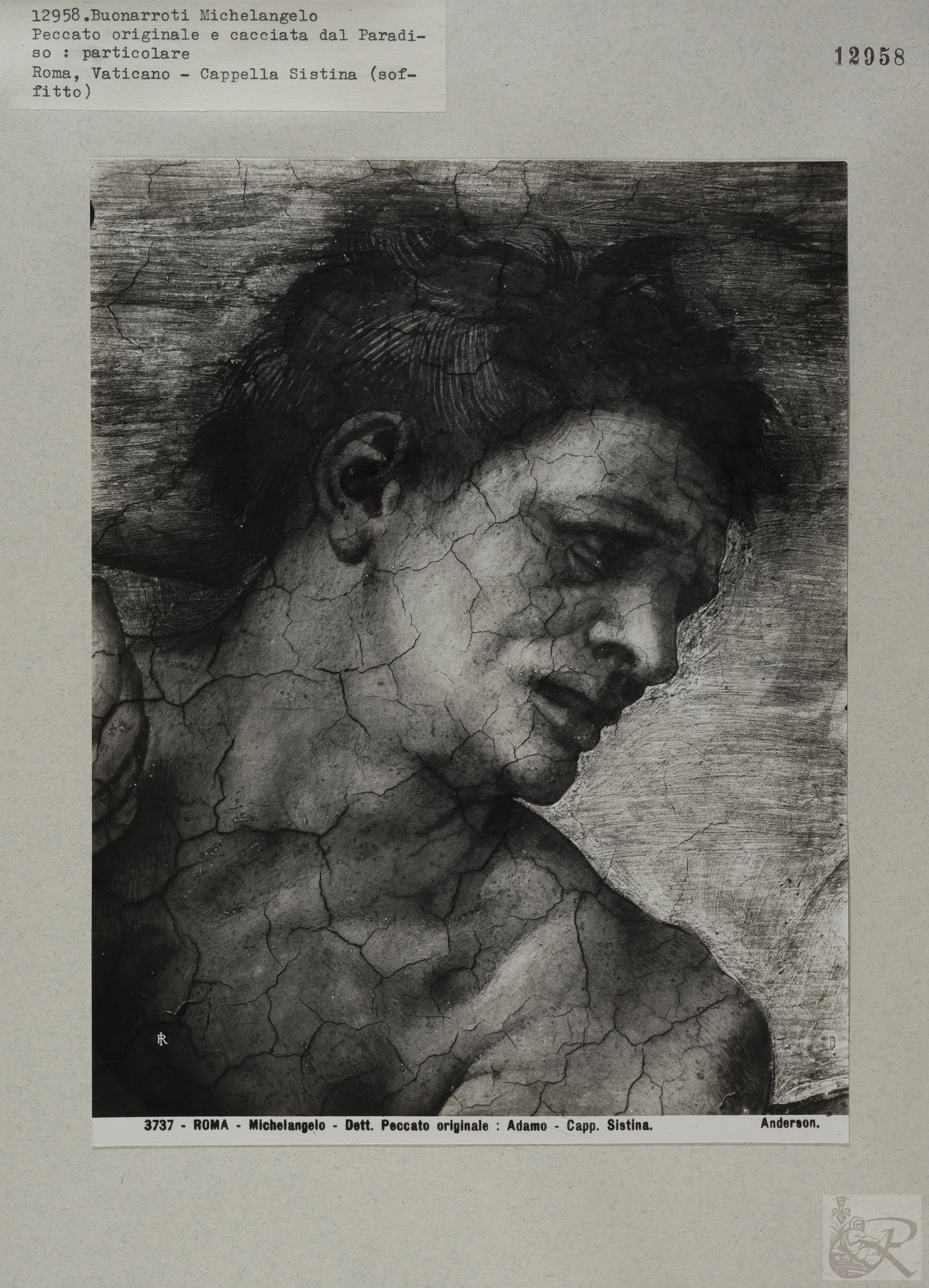 Immagine di anteprima