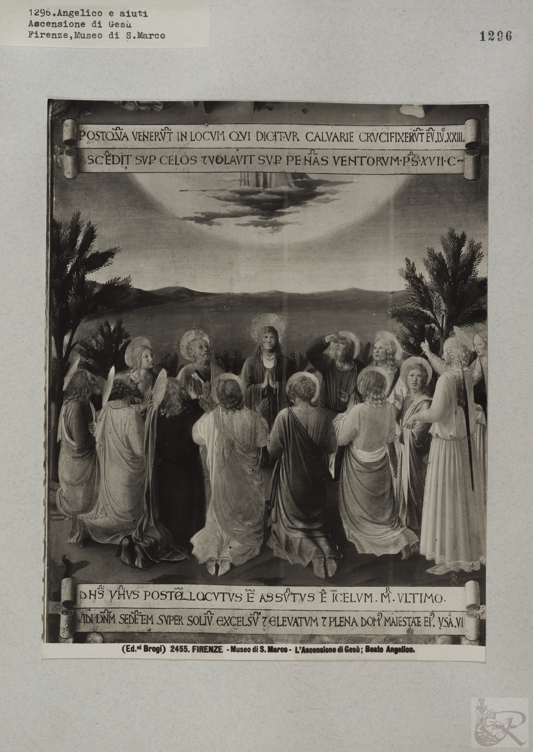 Immagine di anteprima