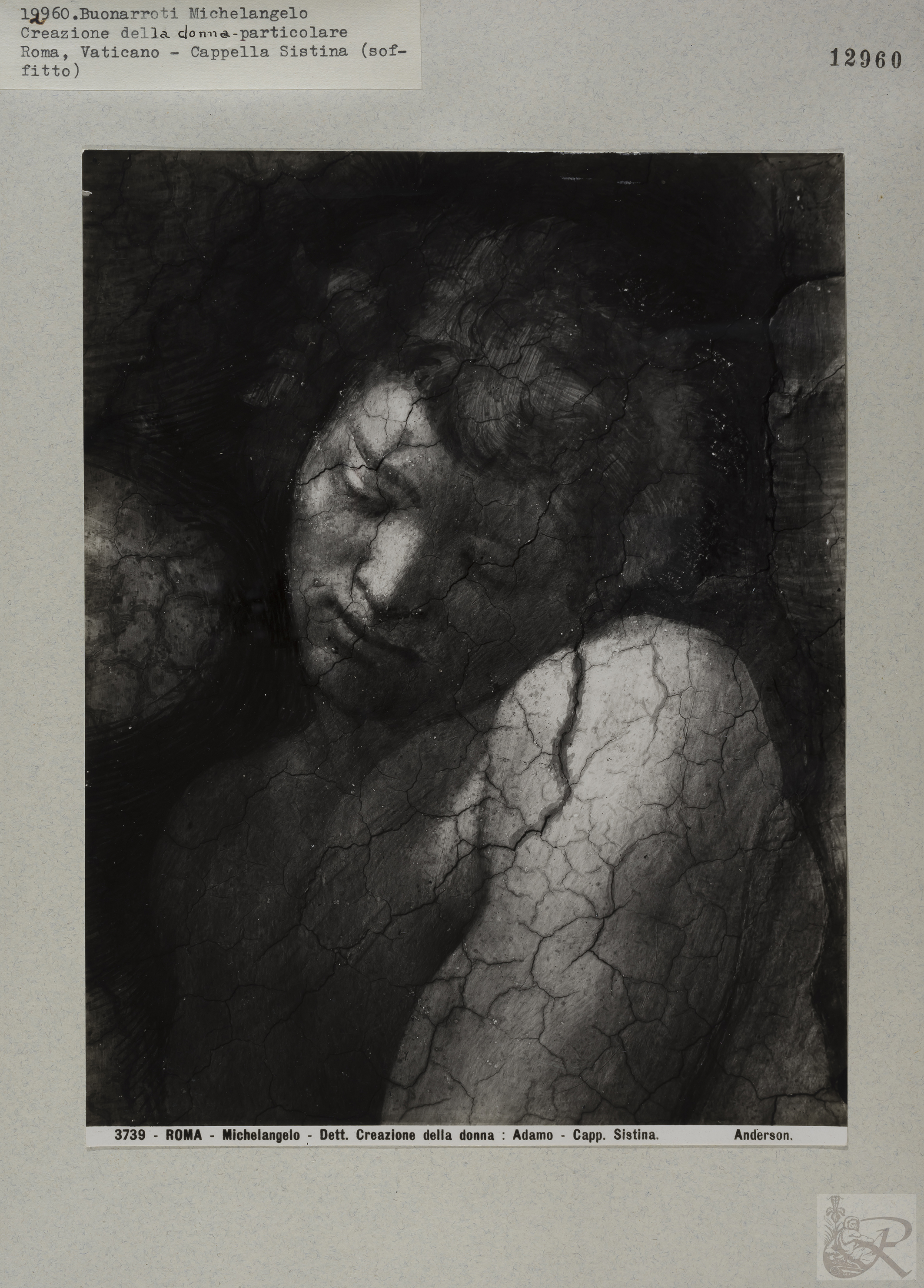 Immagine di anteprima