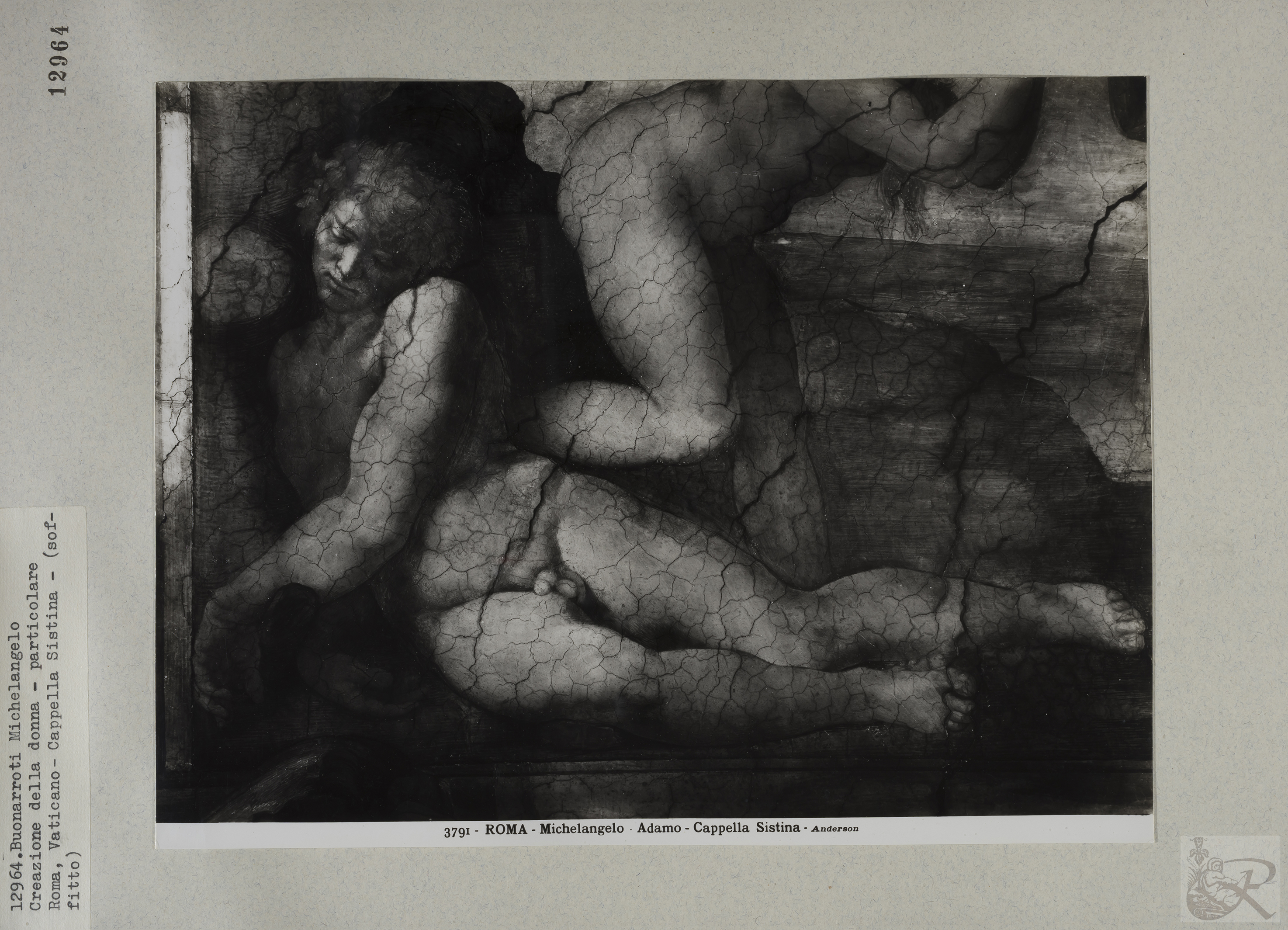 Immagine di anteprima