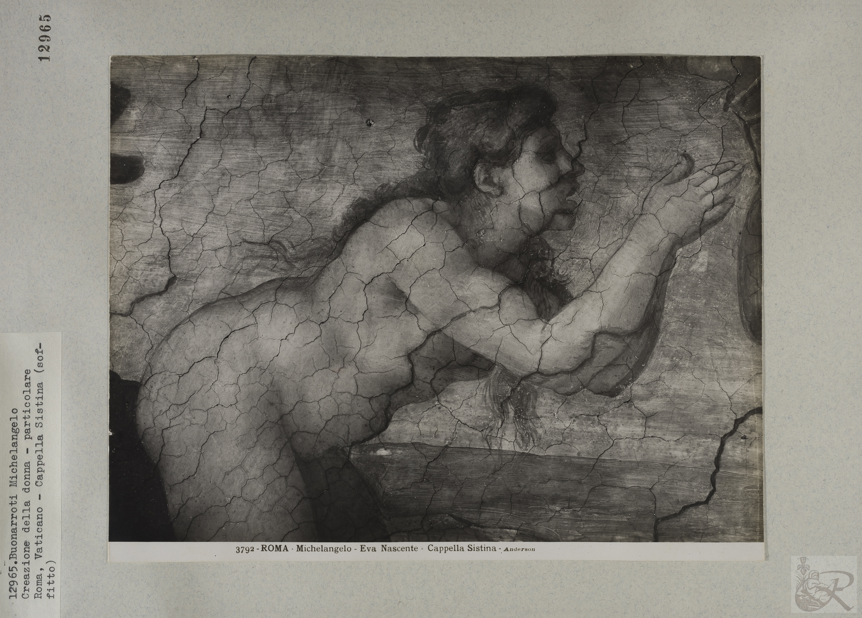 Immagine di anteprima