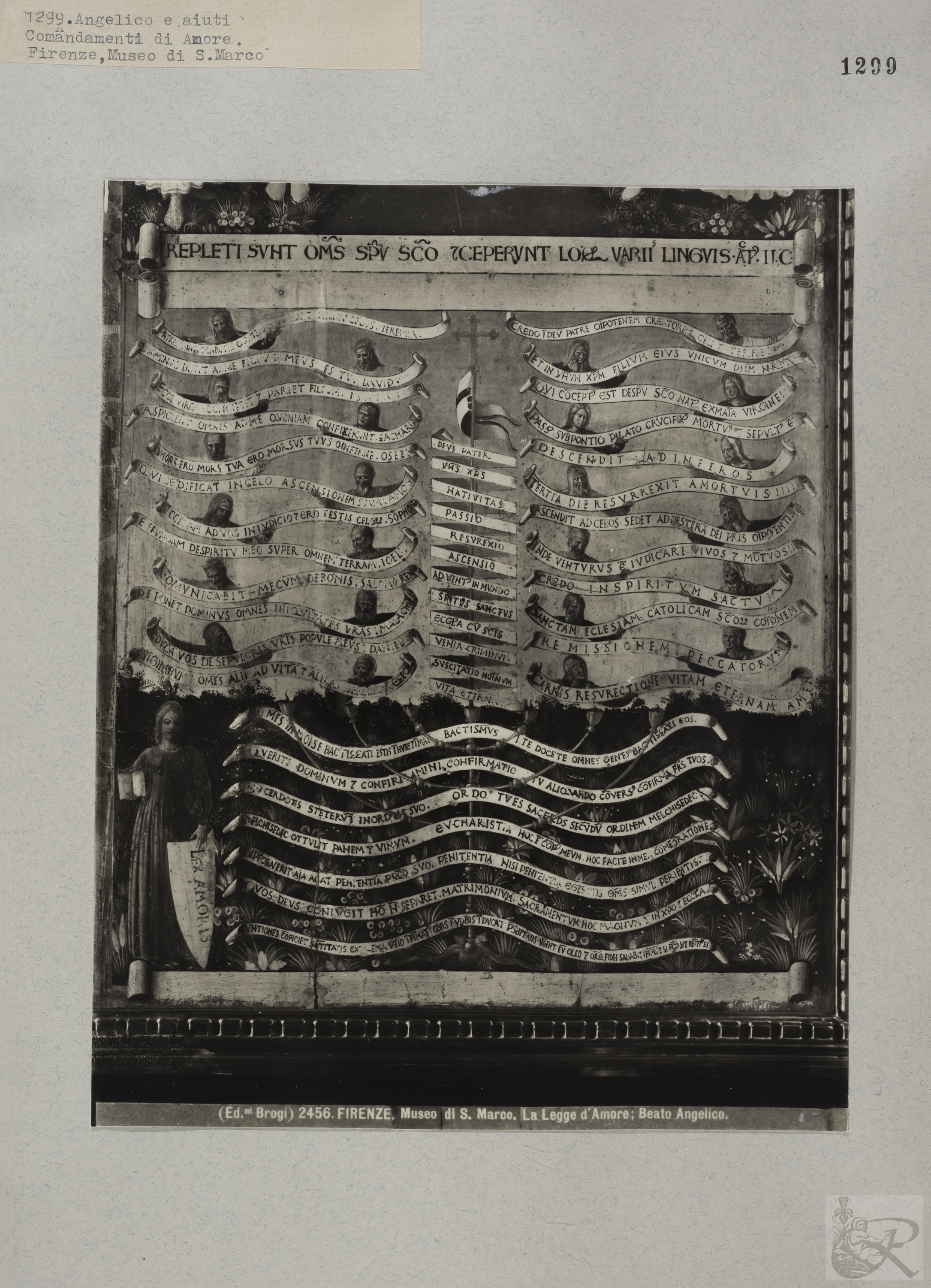 Immagine di anteprima