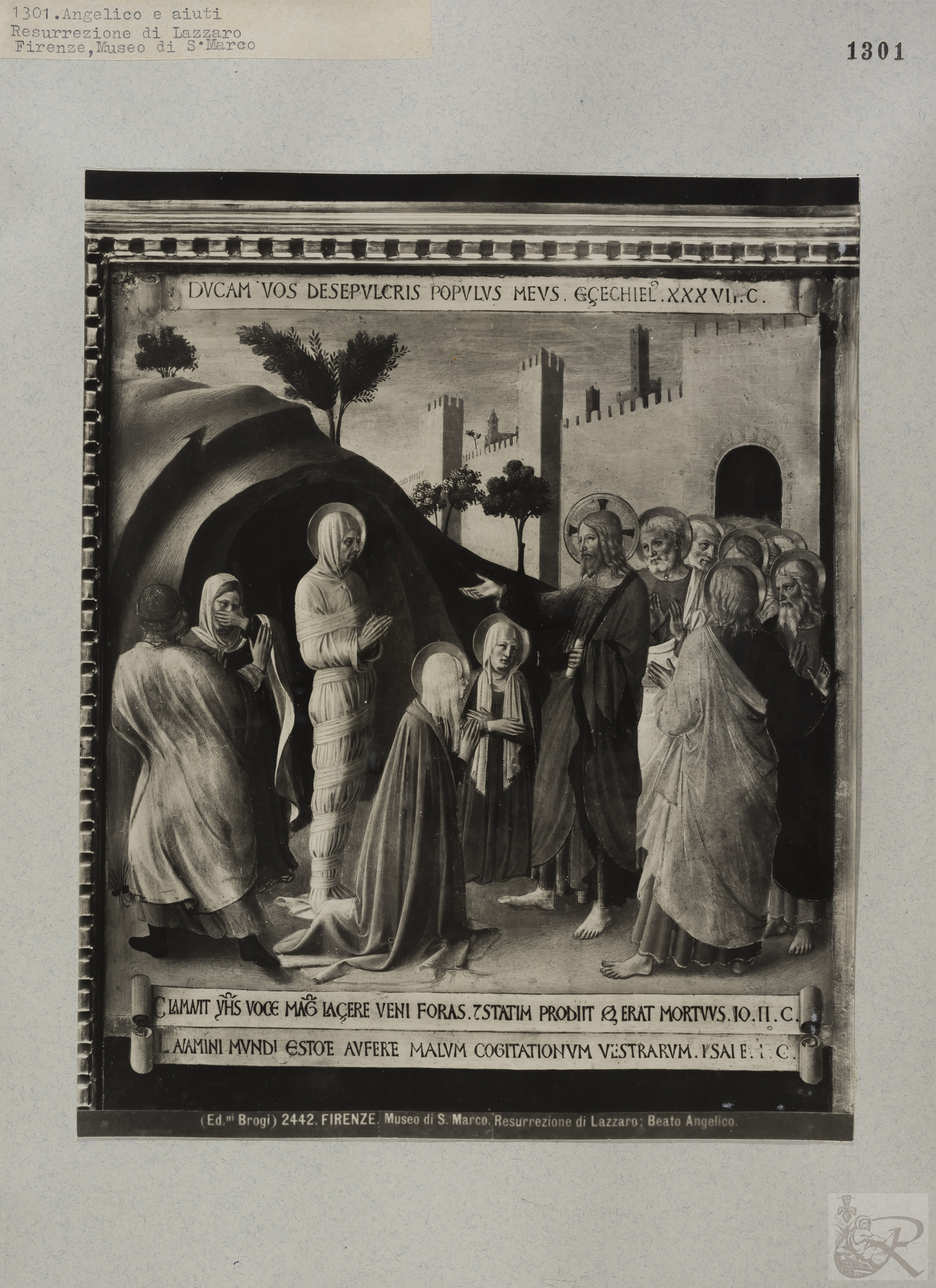 Immagine di anteprima