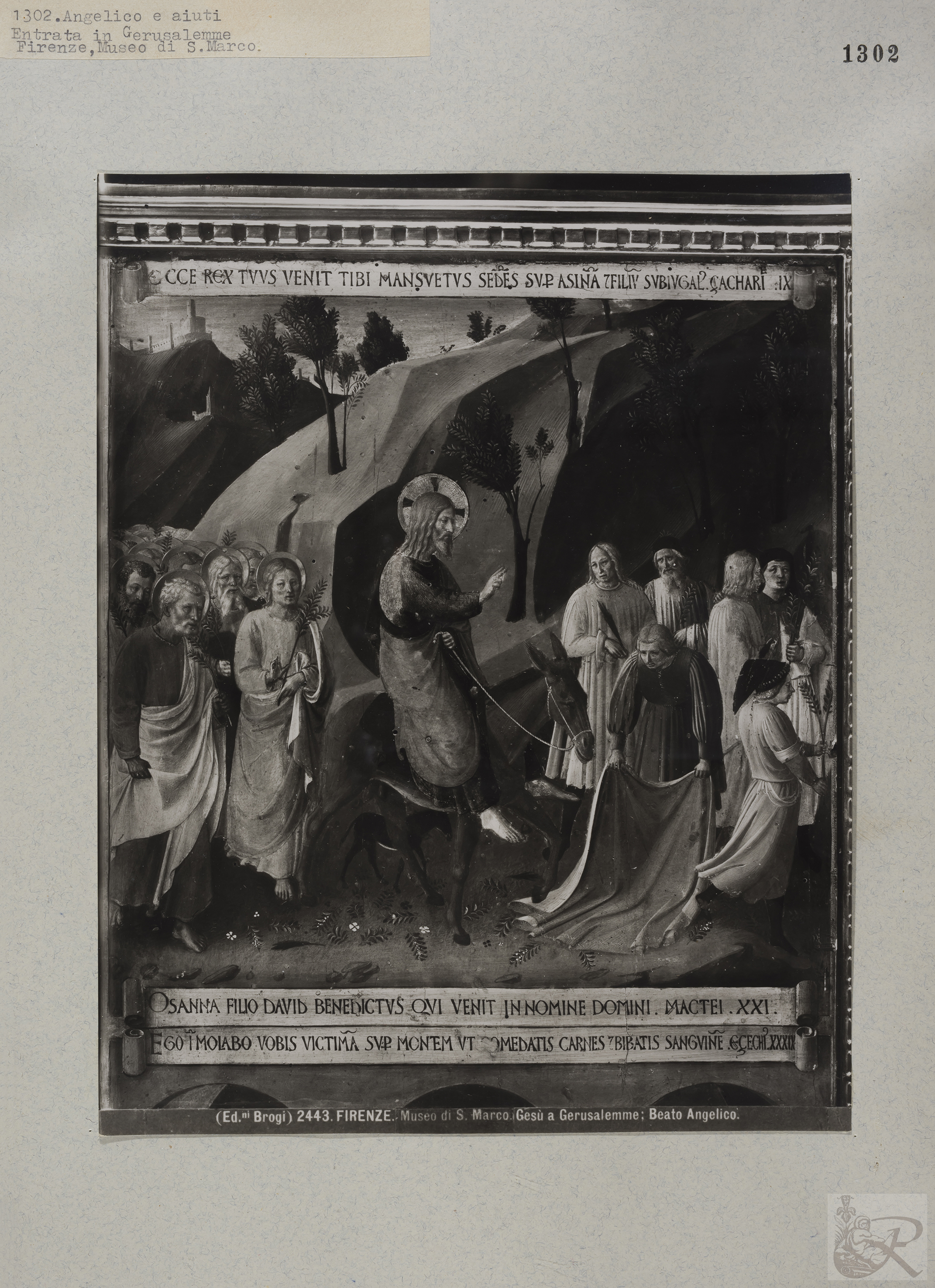 Immagine di anteprima