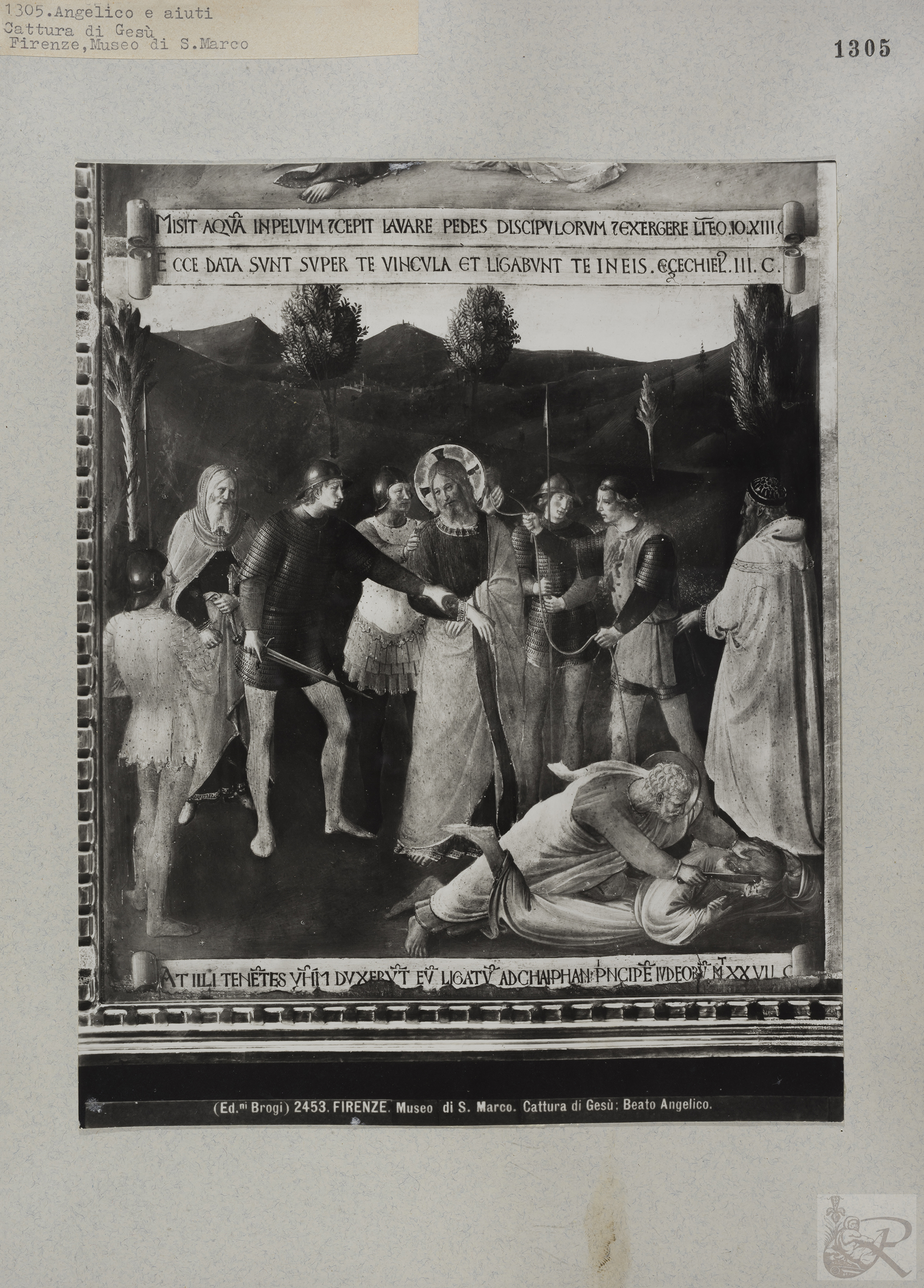 Immagine di anteprima