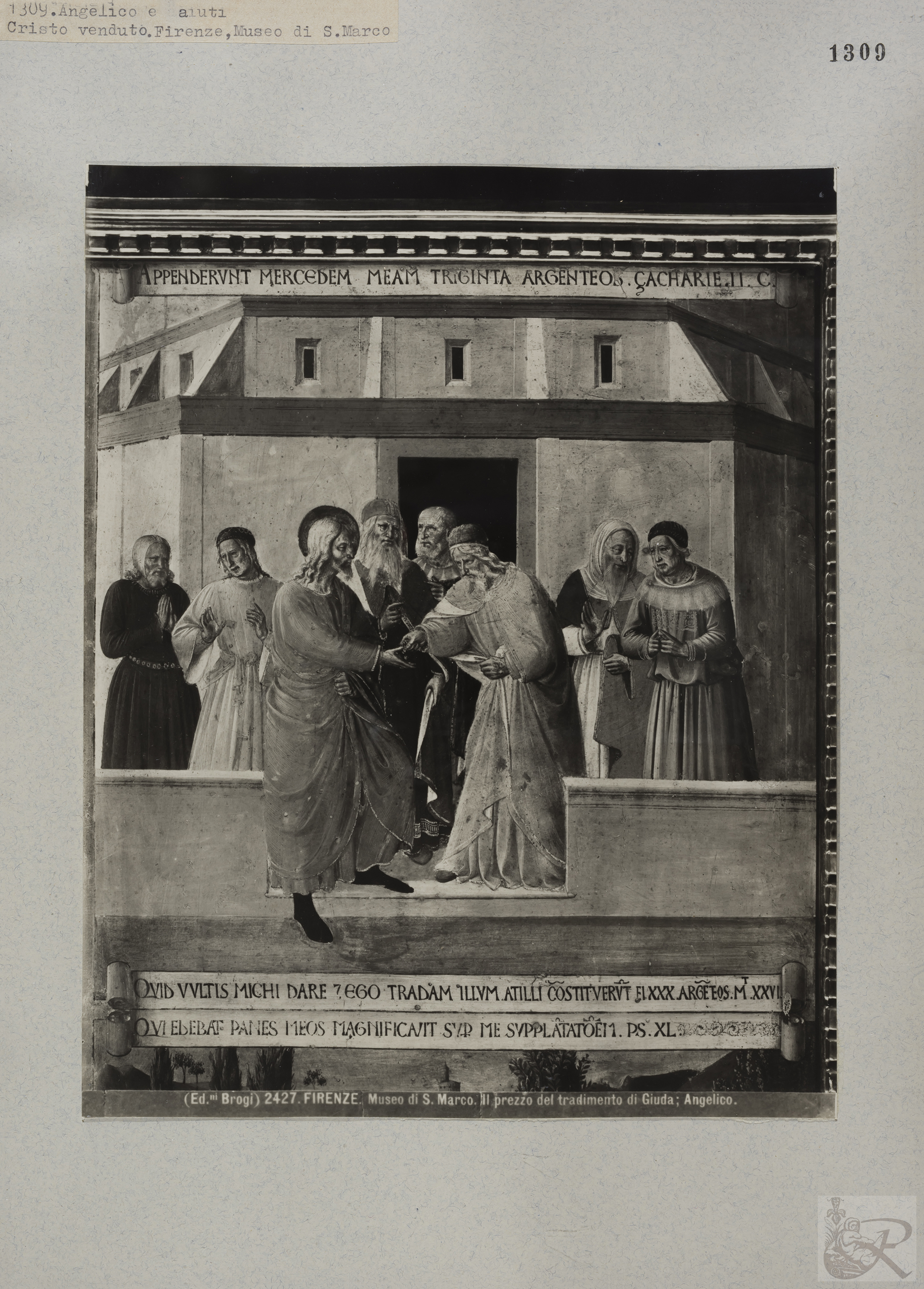 Immagine di anteprima