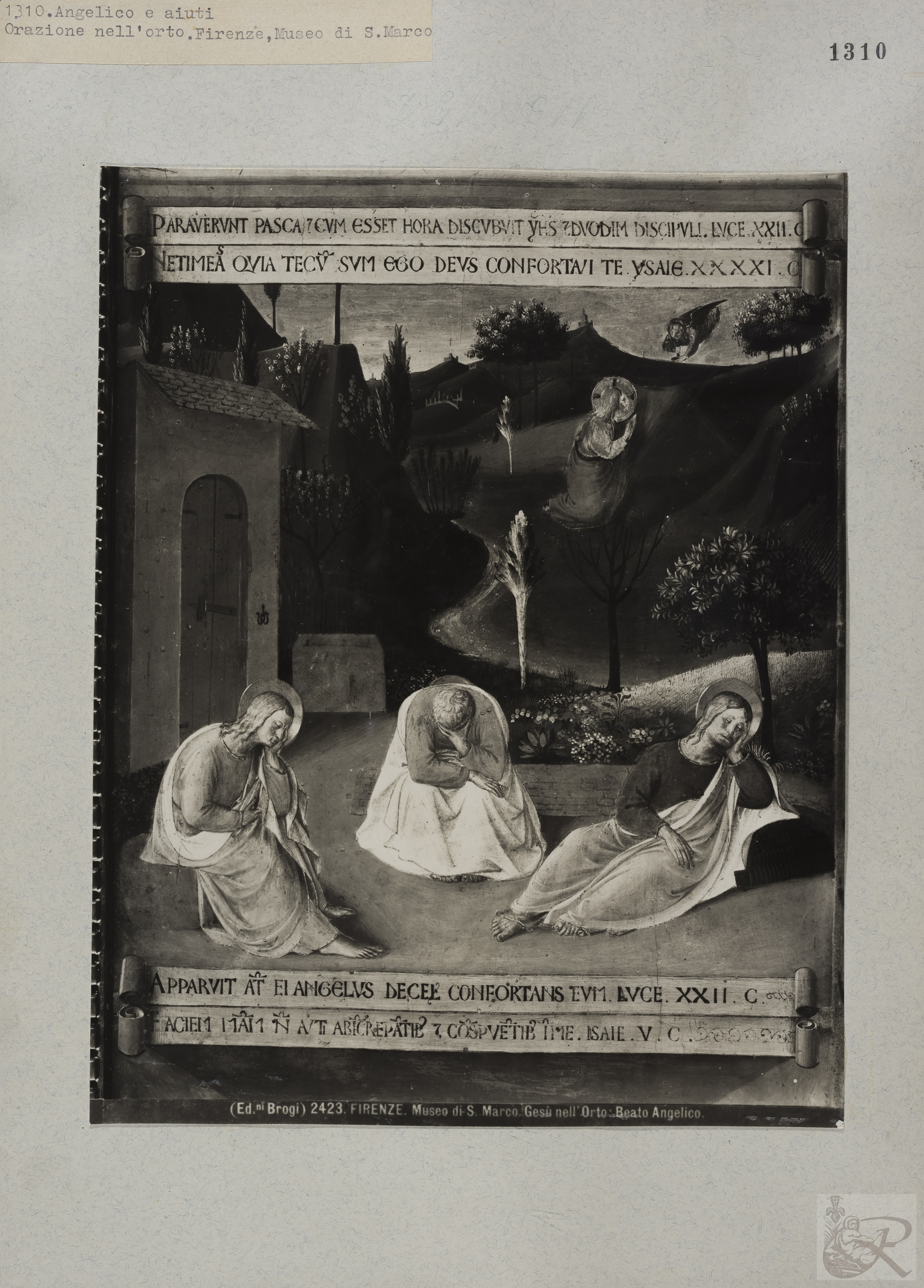 Immagine di anteprima