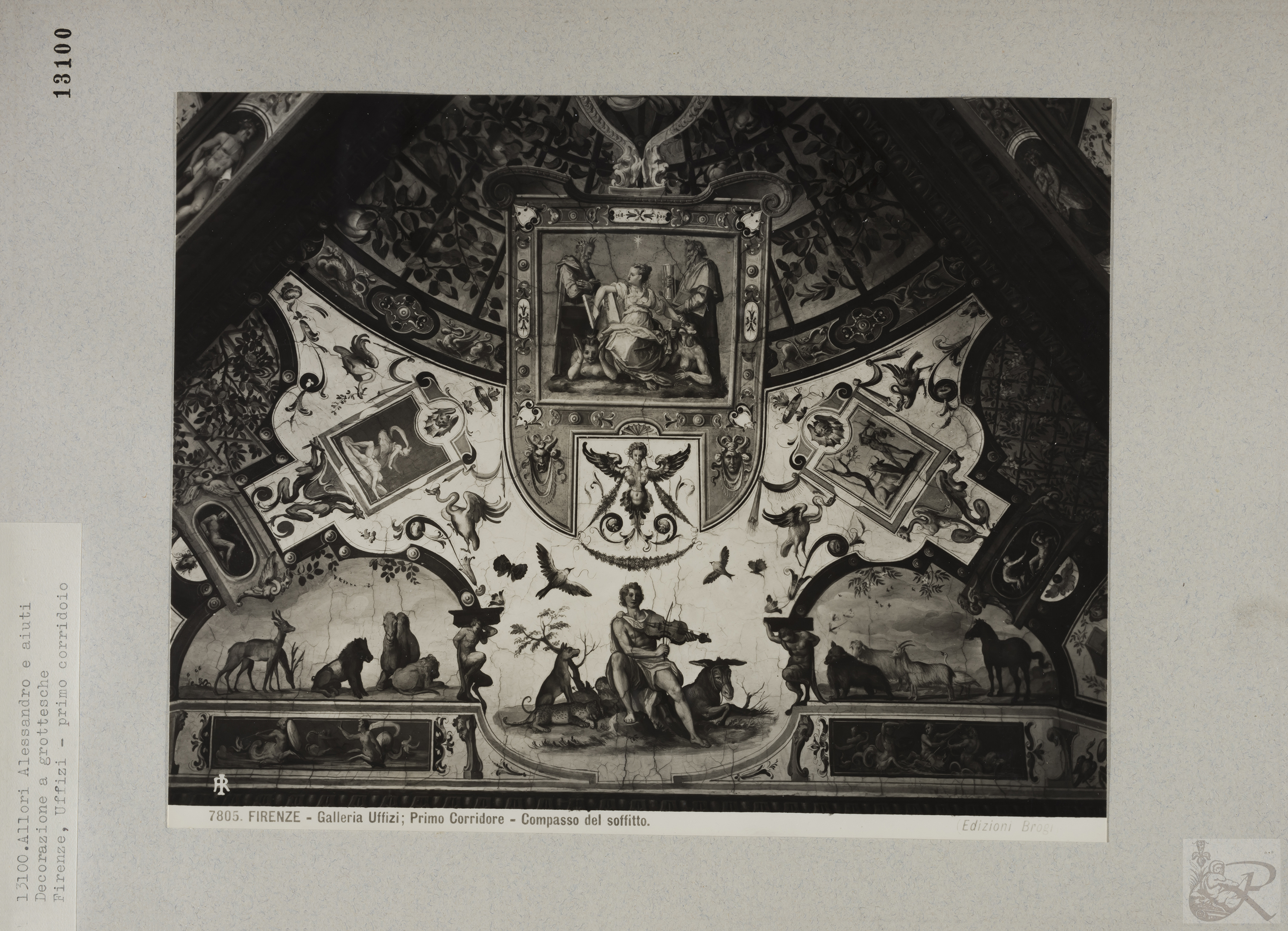 Immagine di anteprima