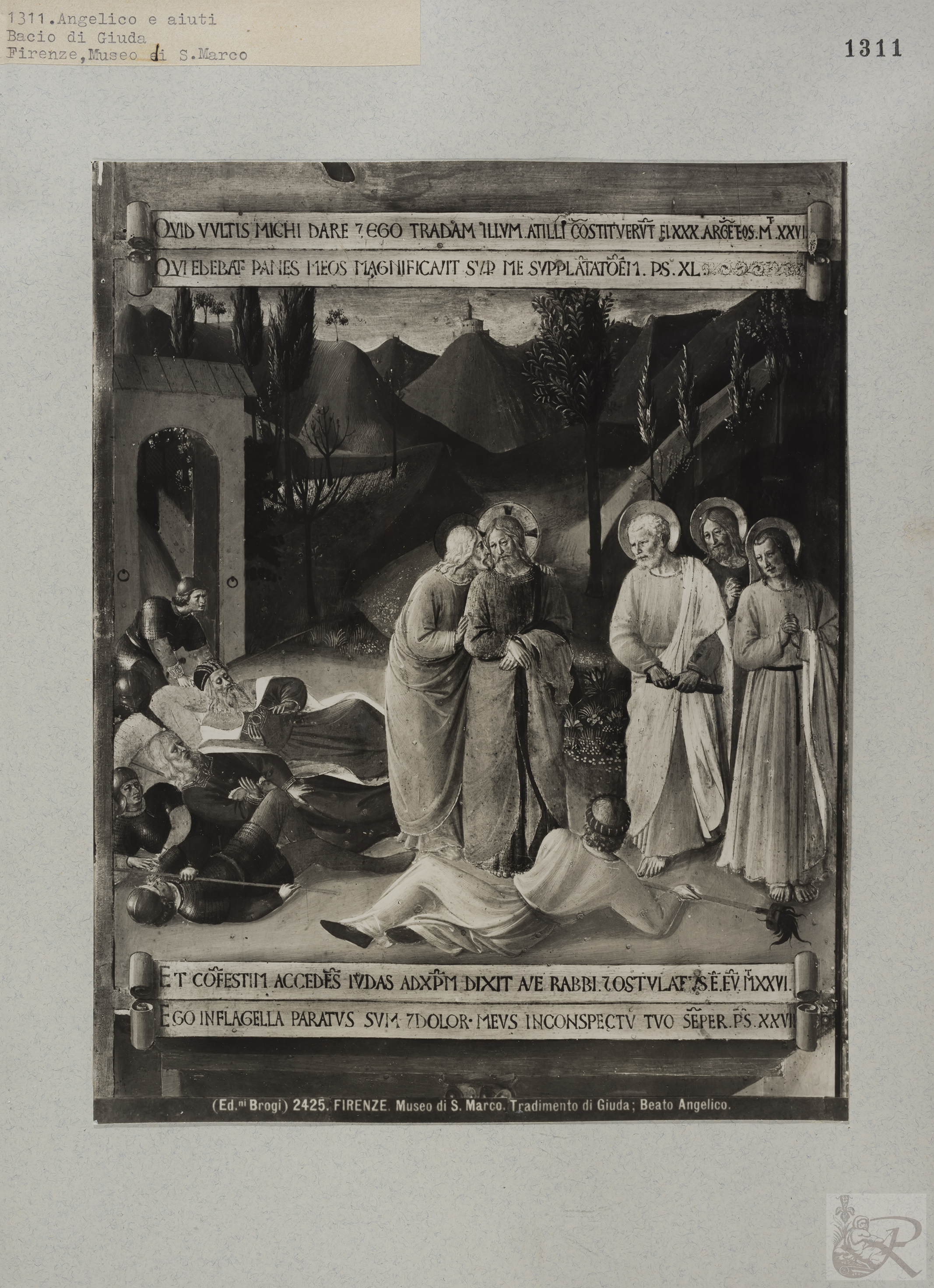 Immagine di anteprima