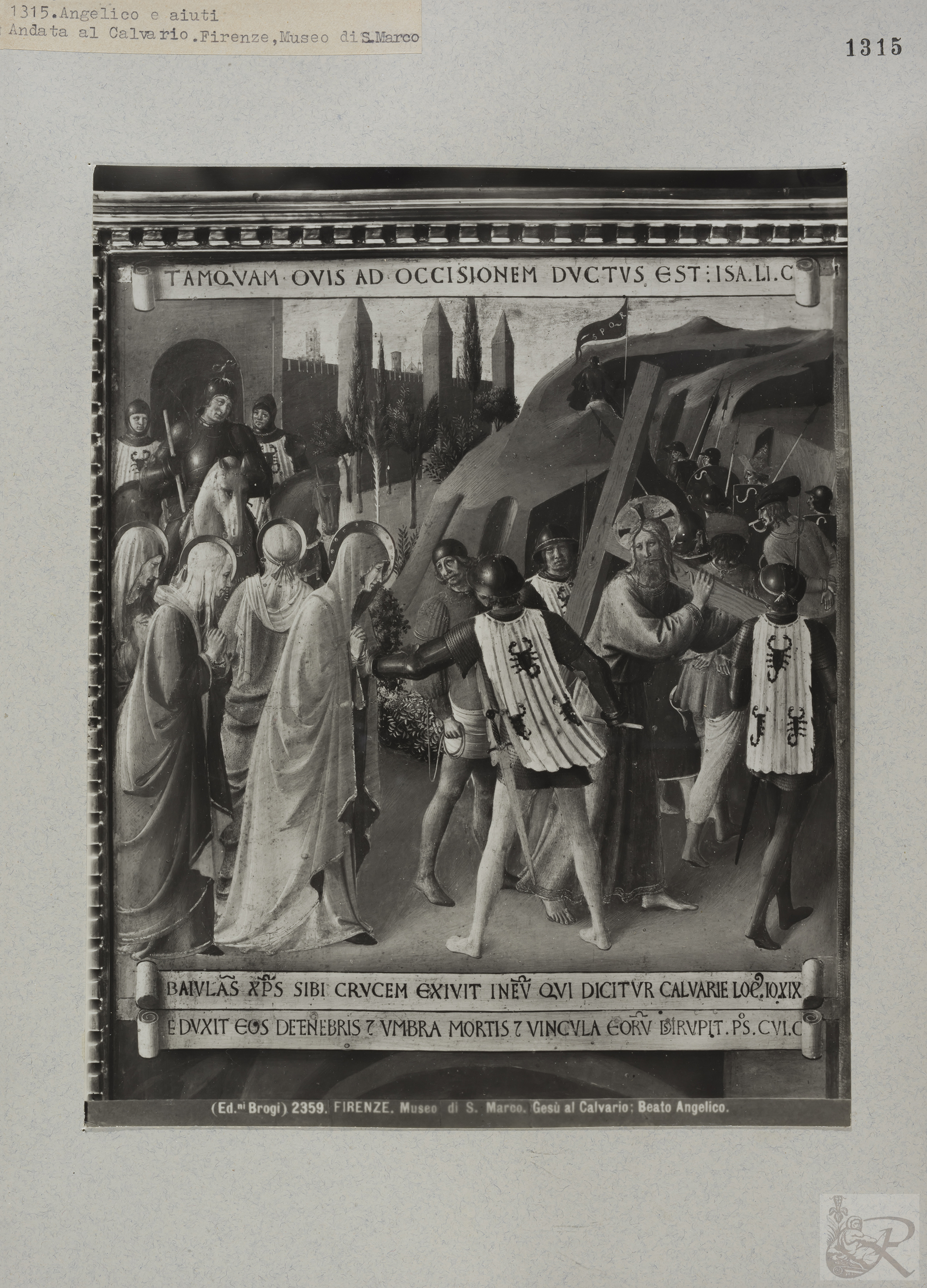 Immagine di anteprima