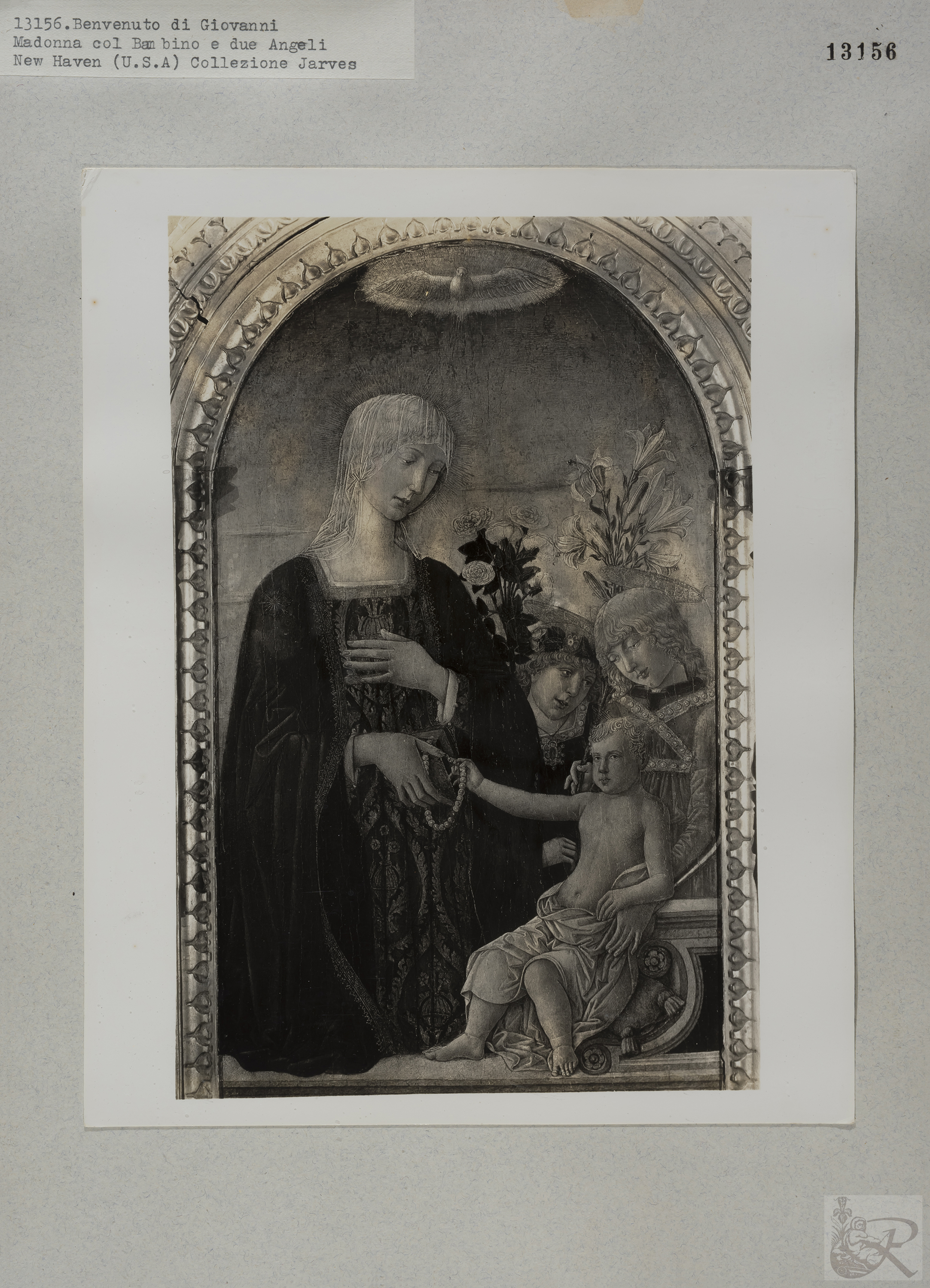 Immagine di anteprima