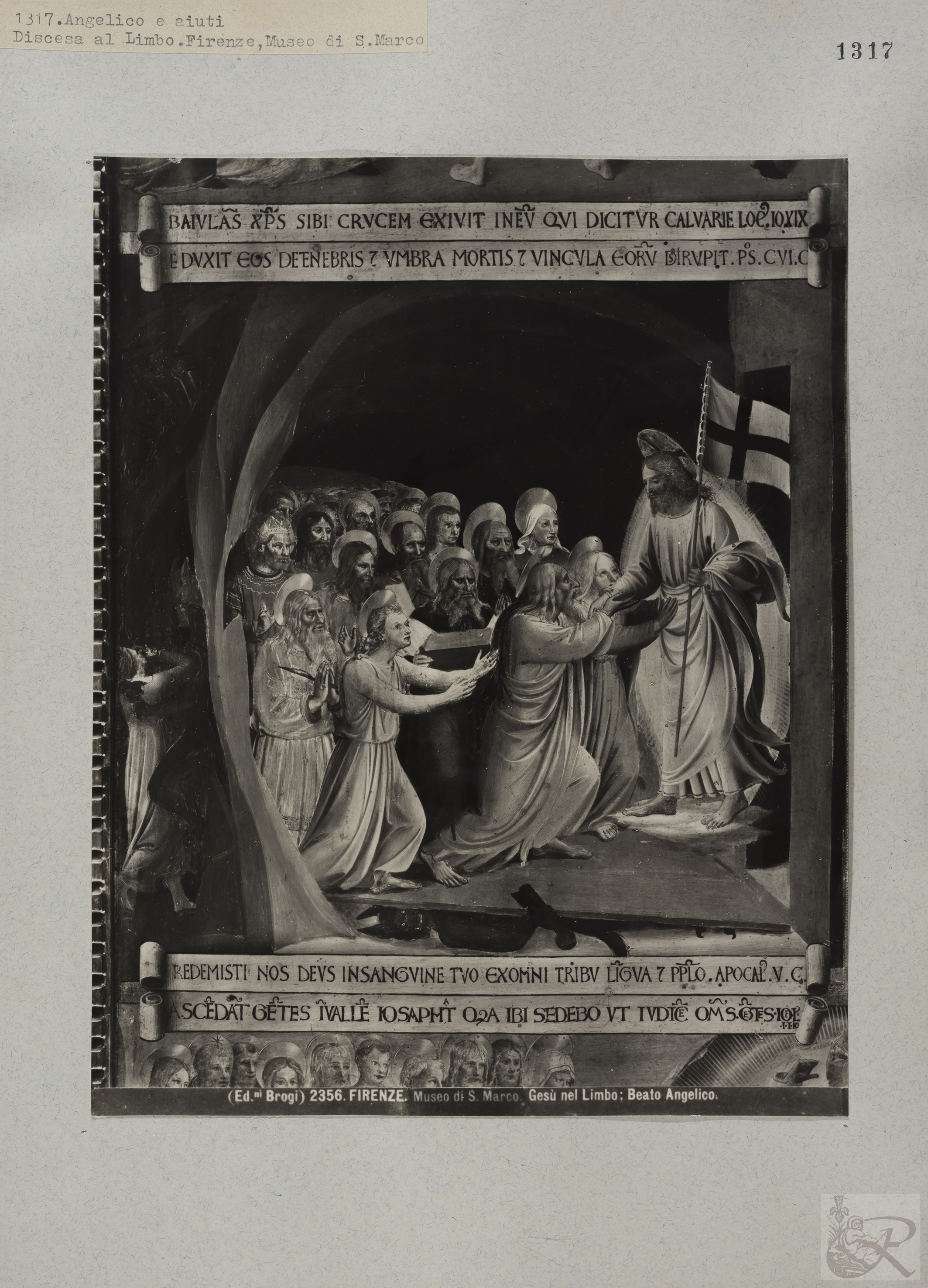 Immagine di anteprima