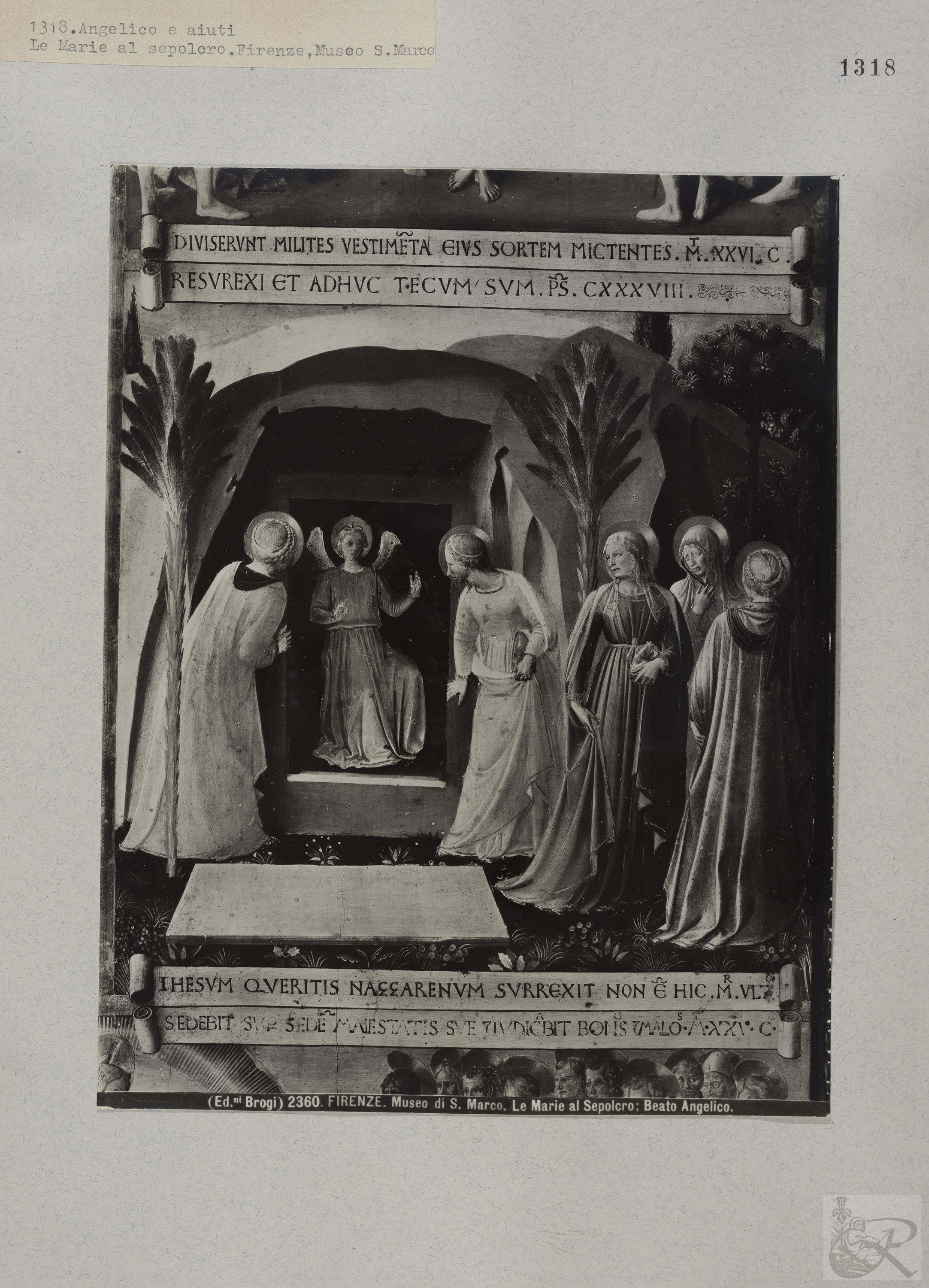 Immagine di anteprima