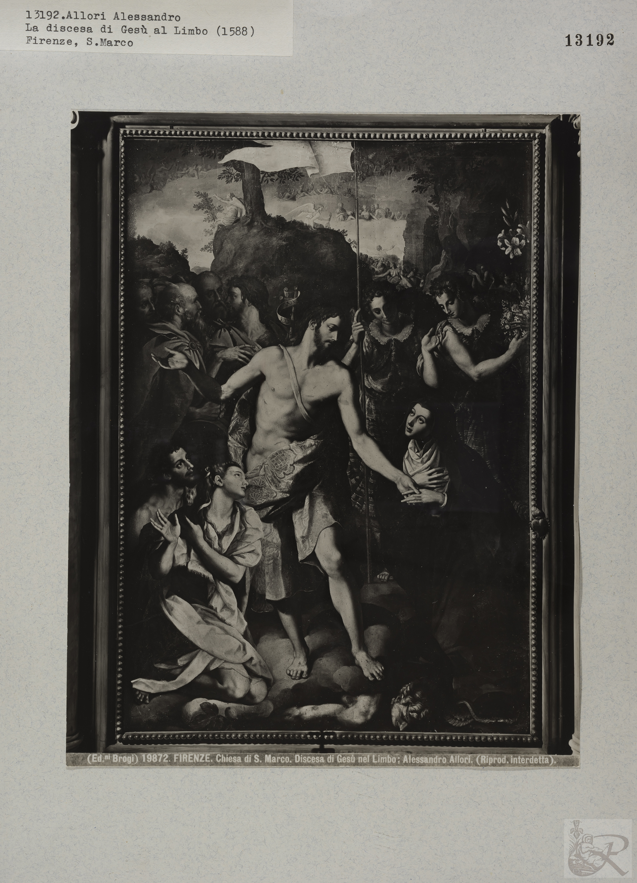 Immagine di anteprima