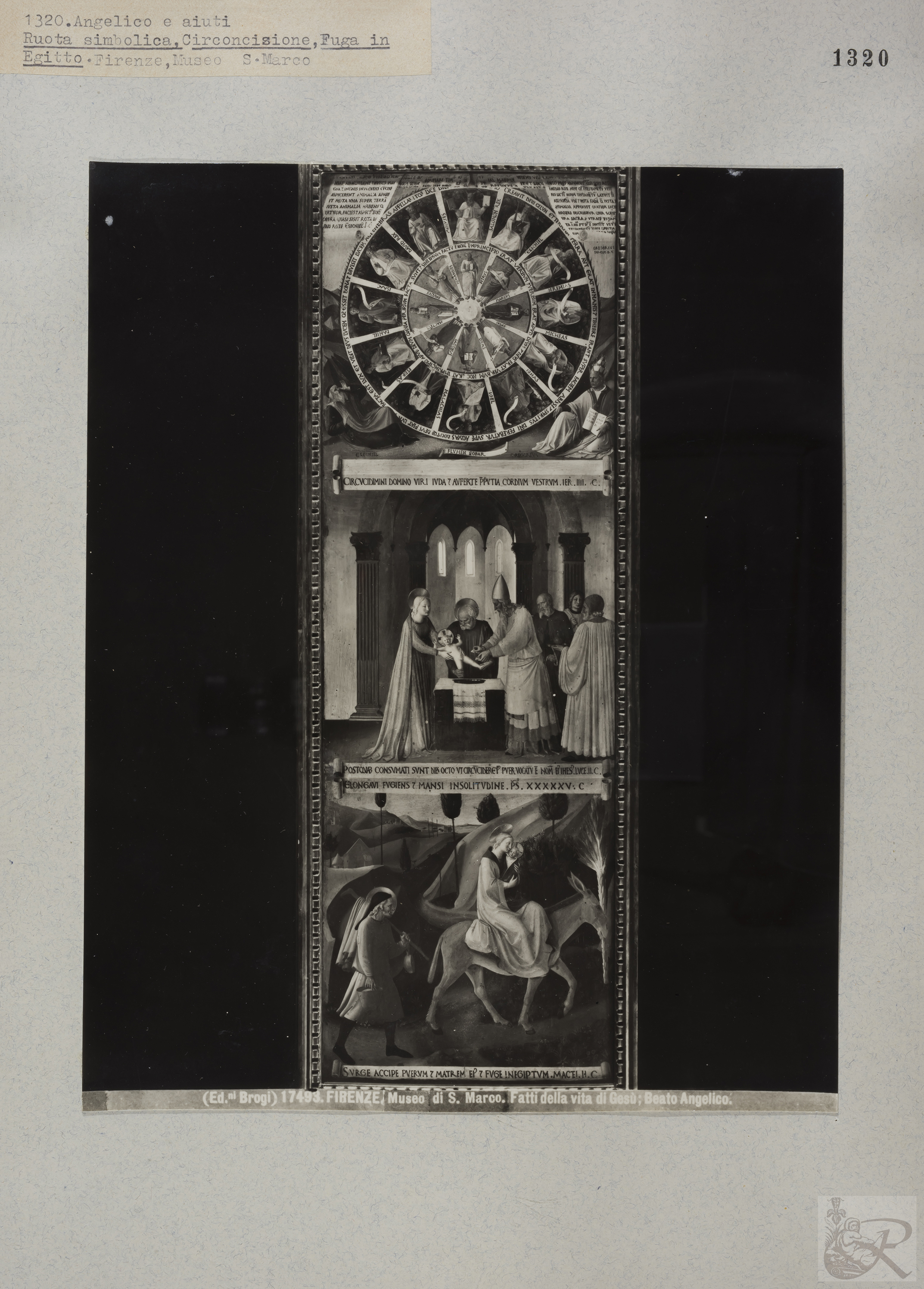 Immagine di anteprima