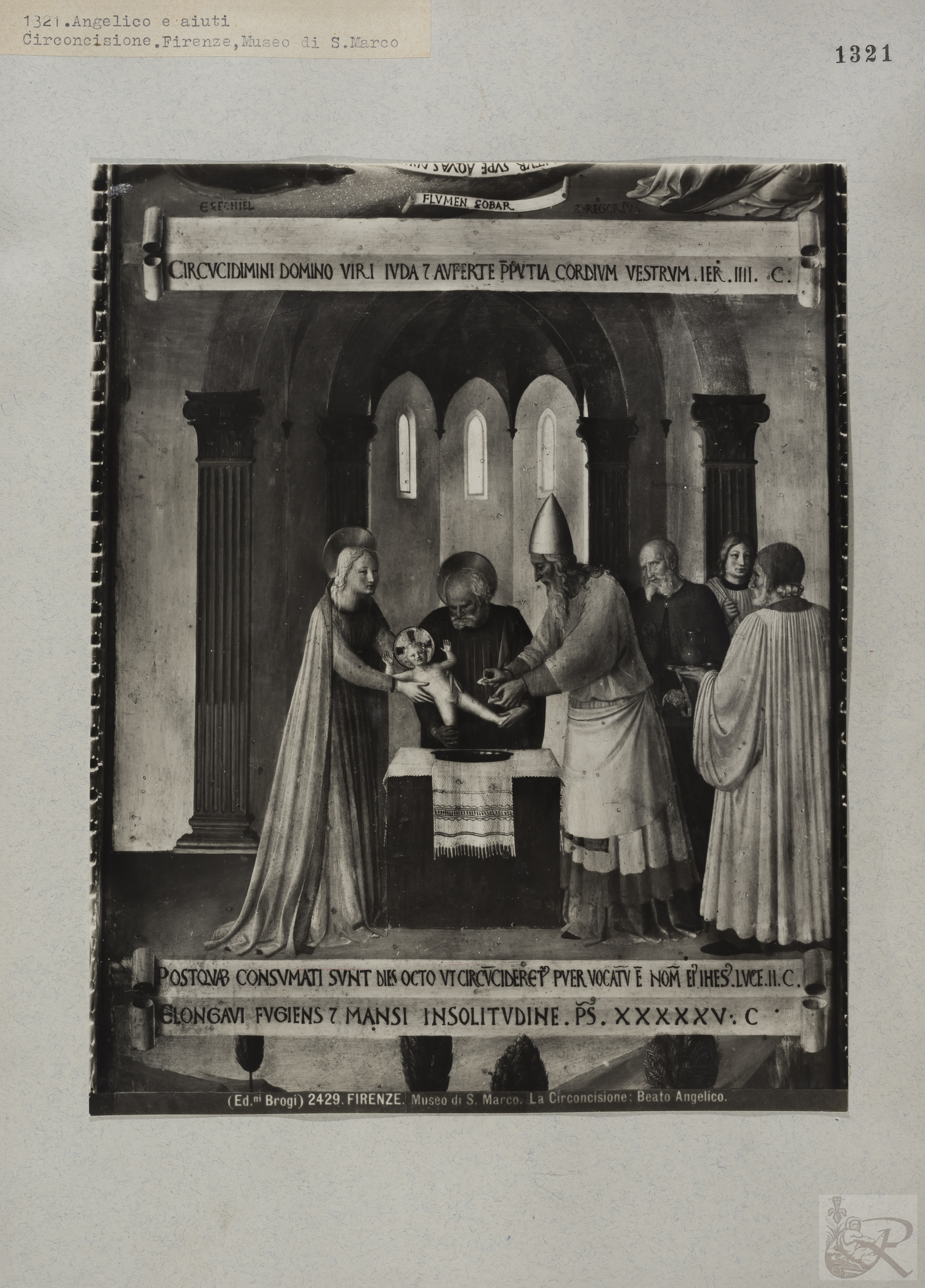 Immagine di anteprima