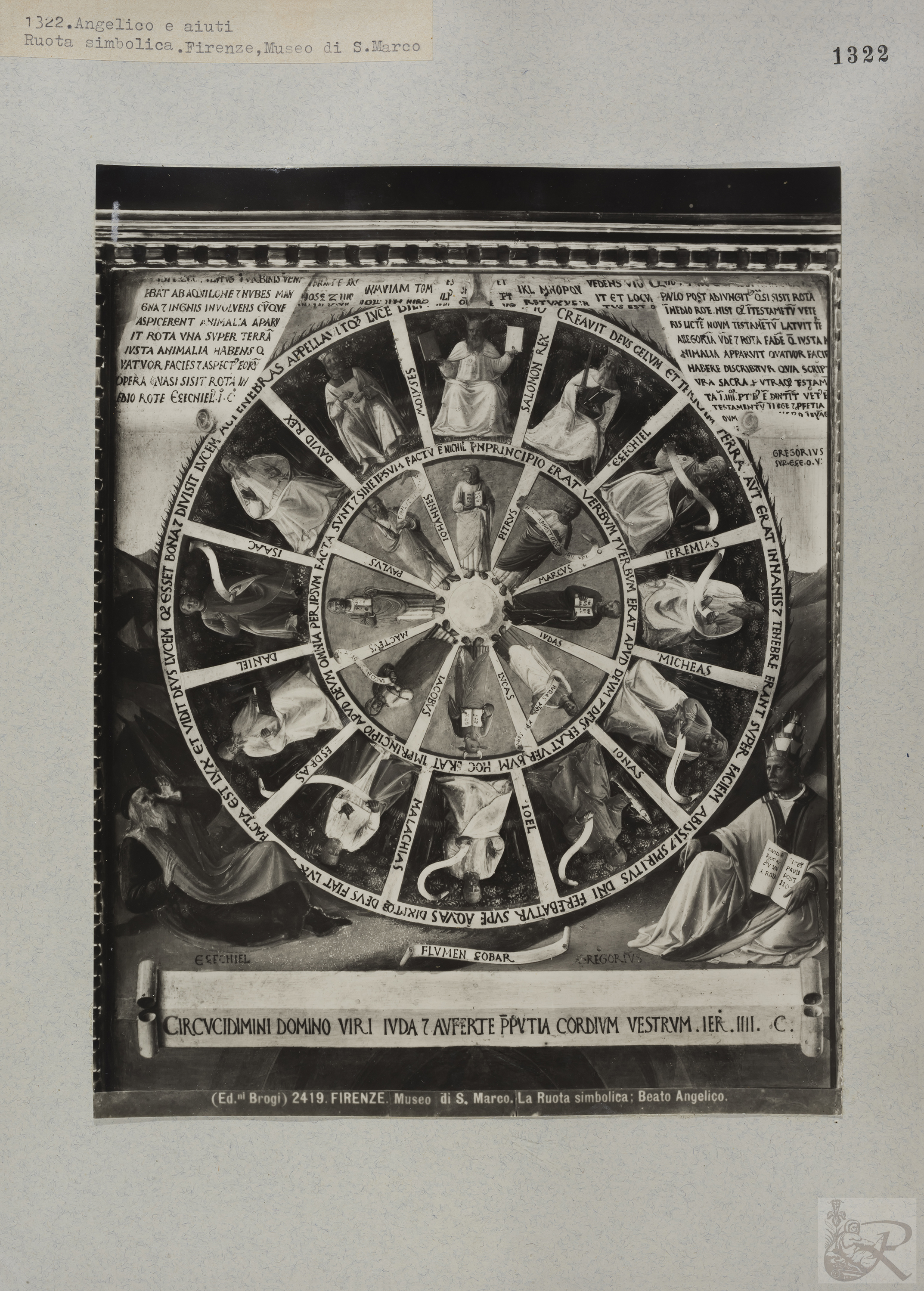 Immagine di anteprima