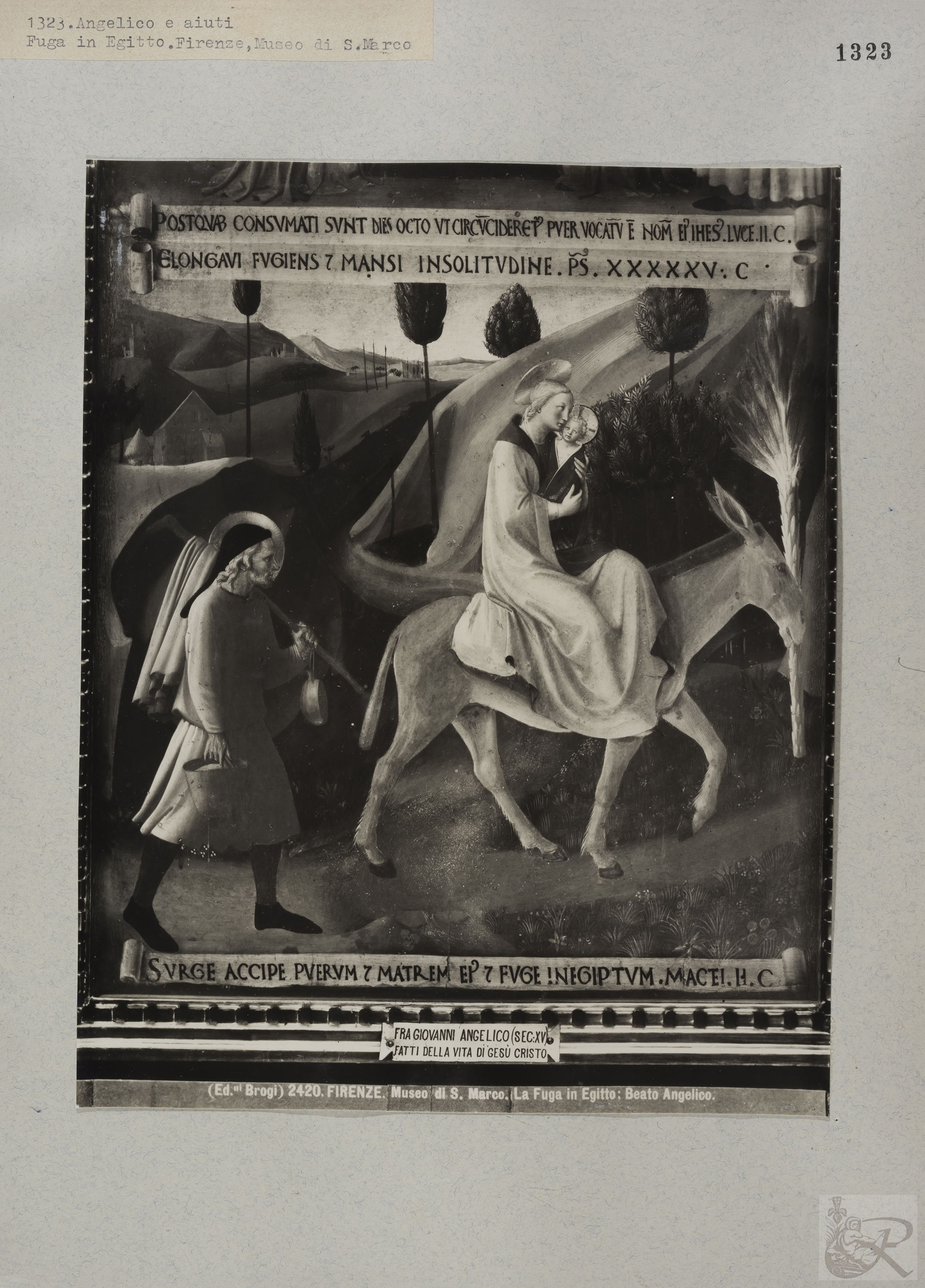 Immagine di anteprima