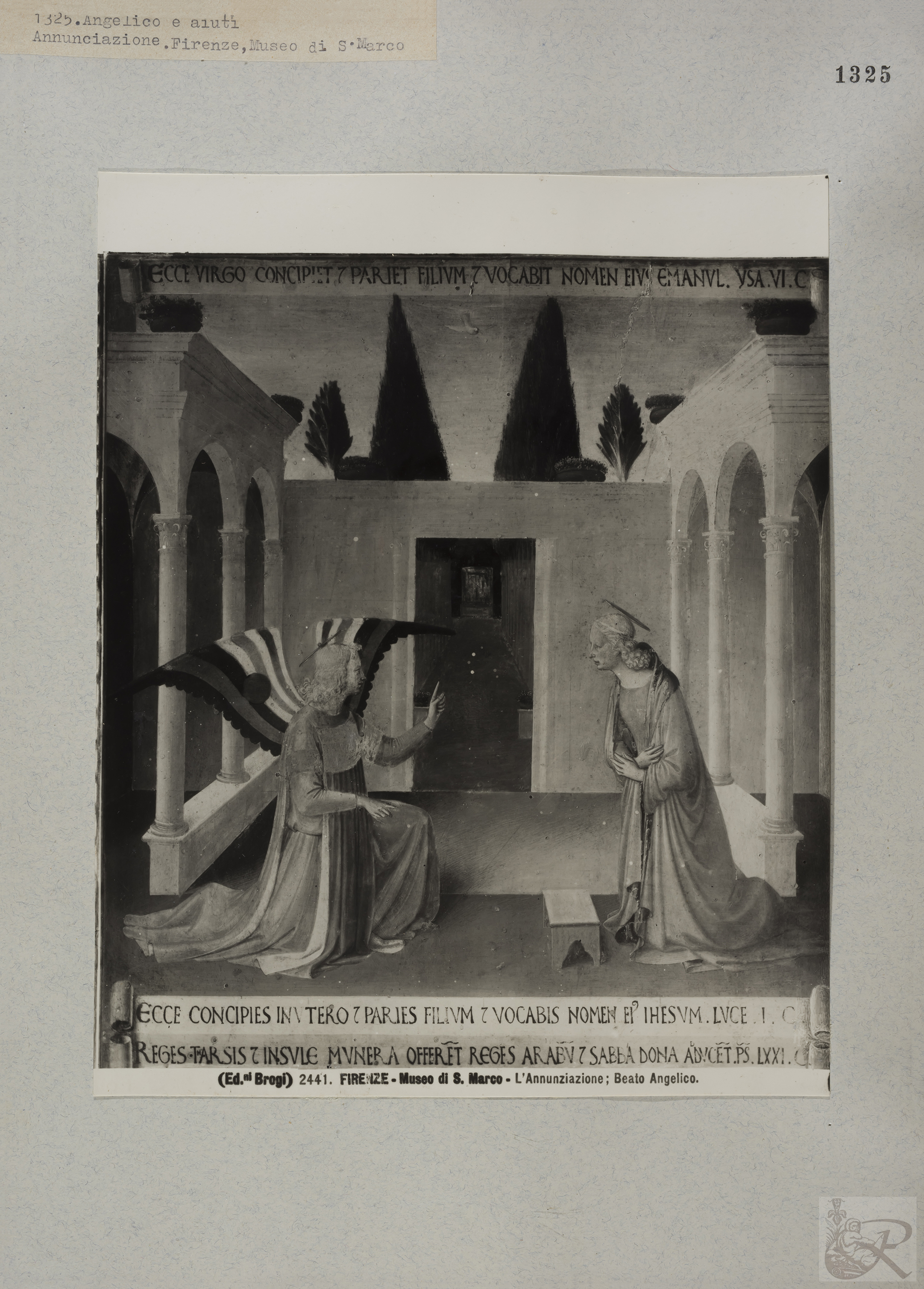 Immagine di anteprima