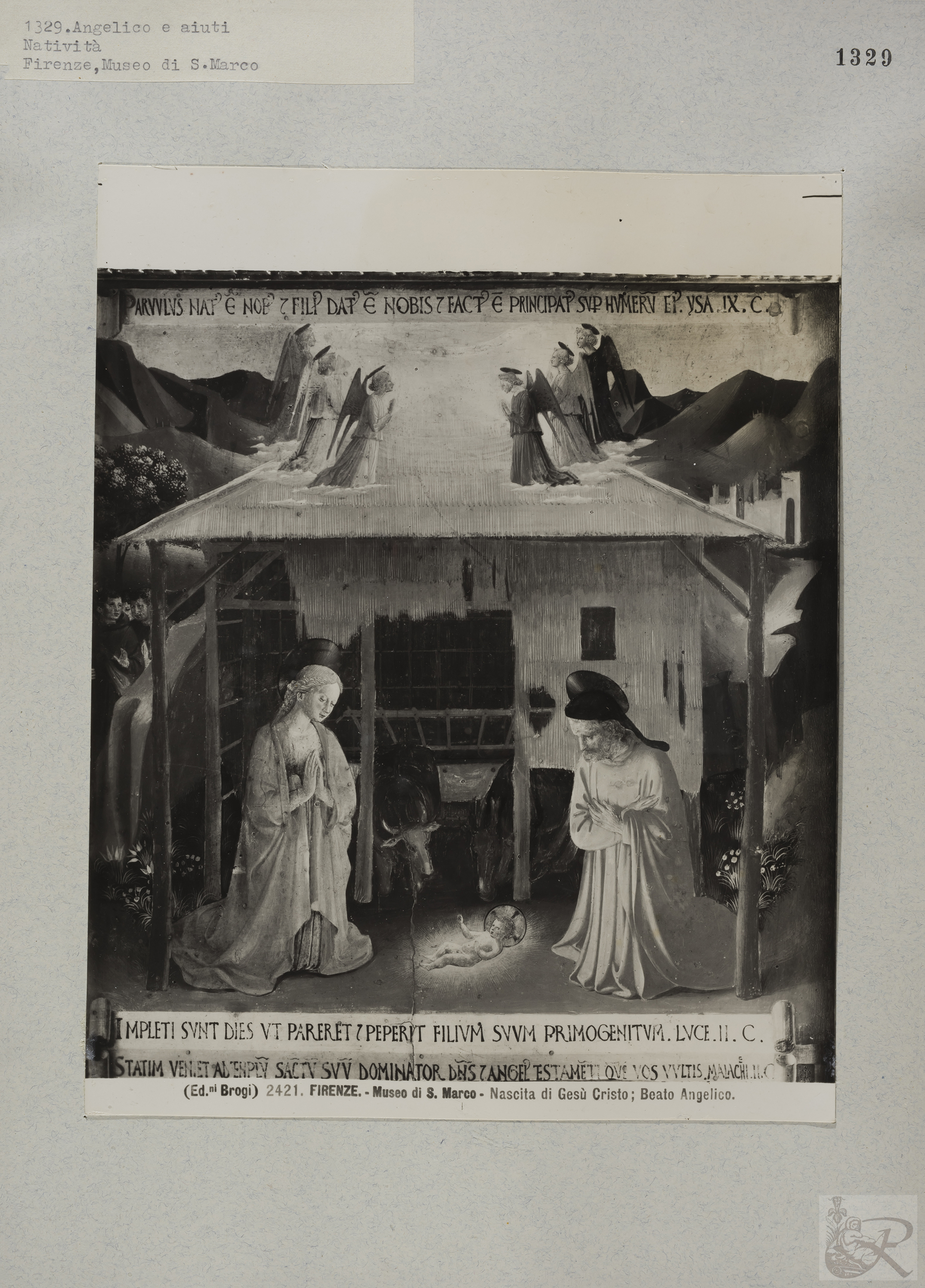 Immagine di anteprima