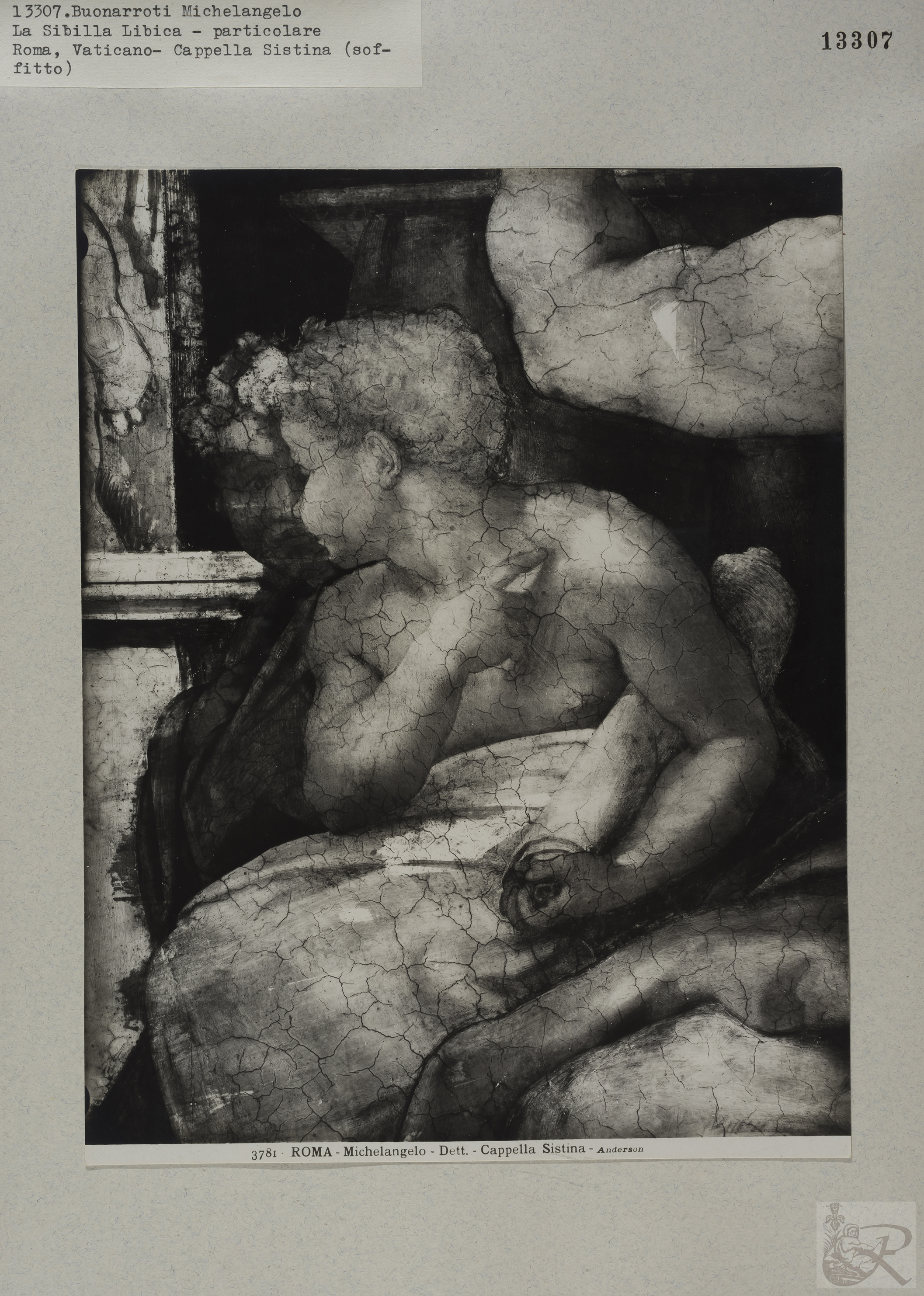 Immagine di anteprima