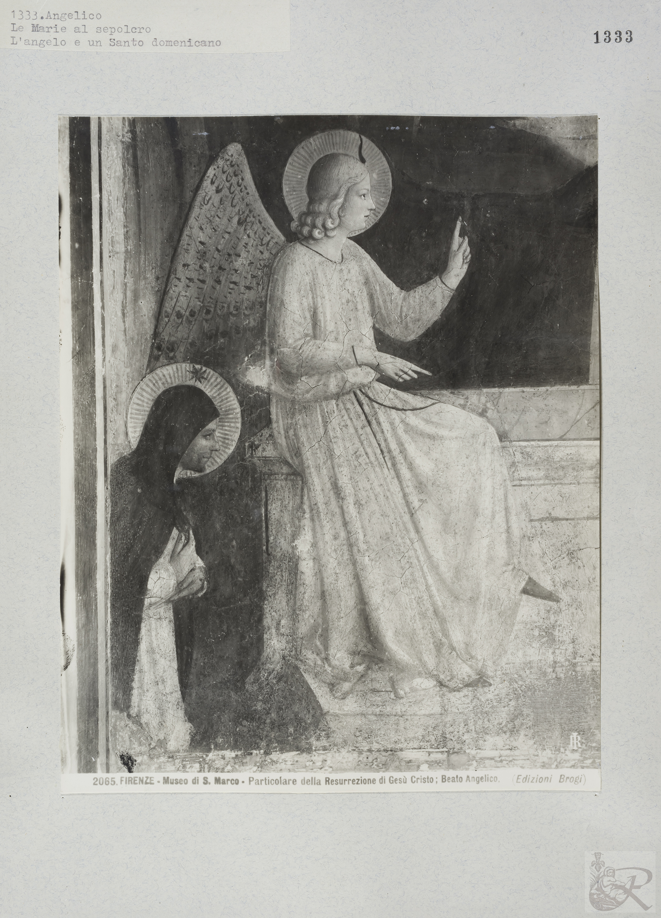 Immagine di anteprima