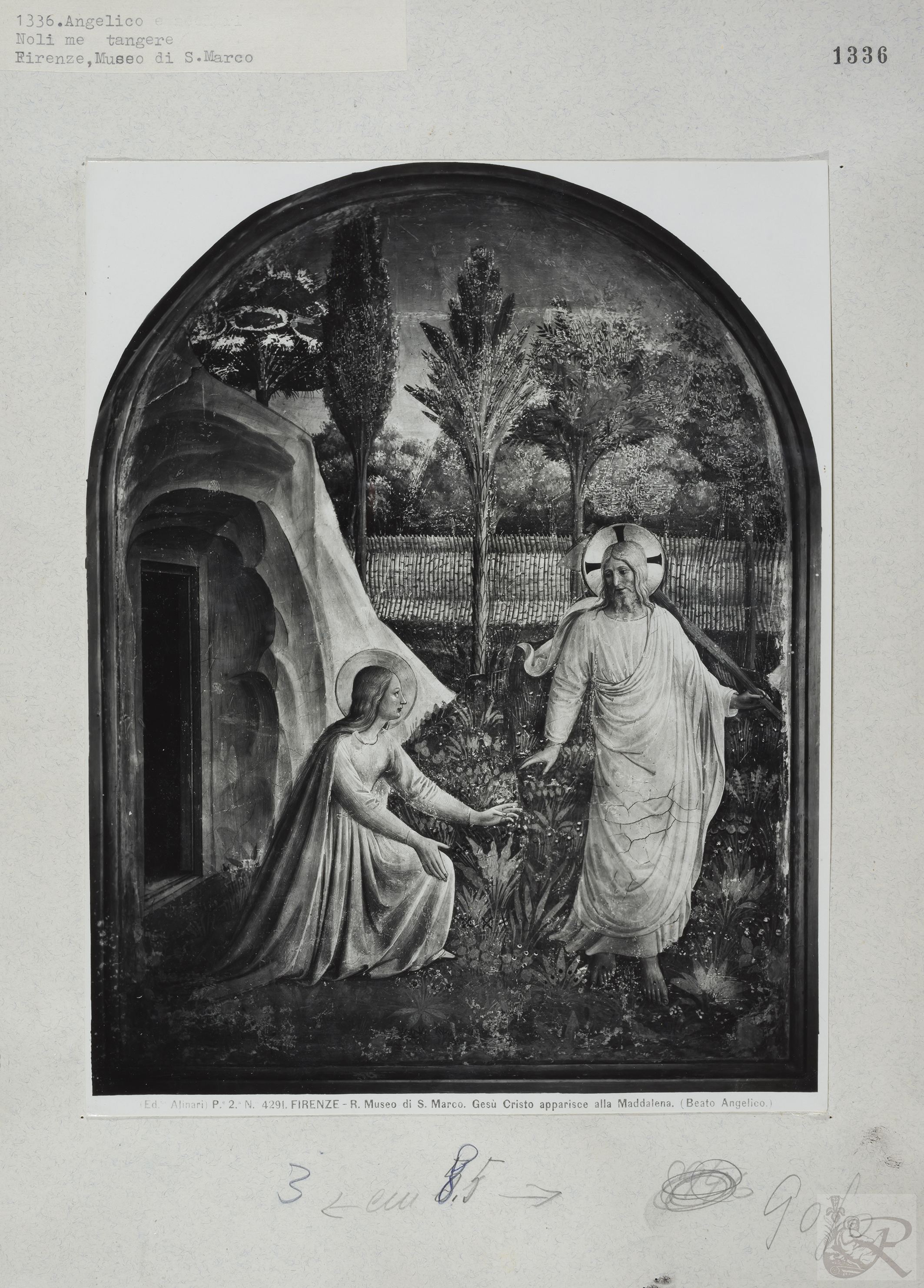 Immagine di anteprima