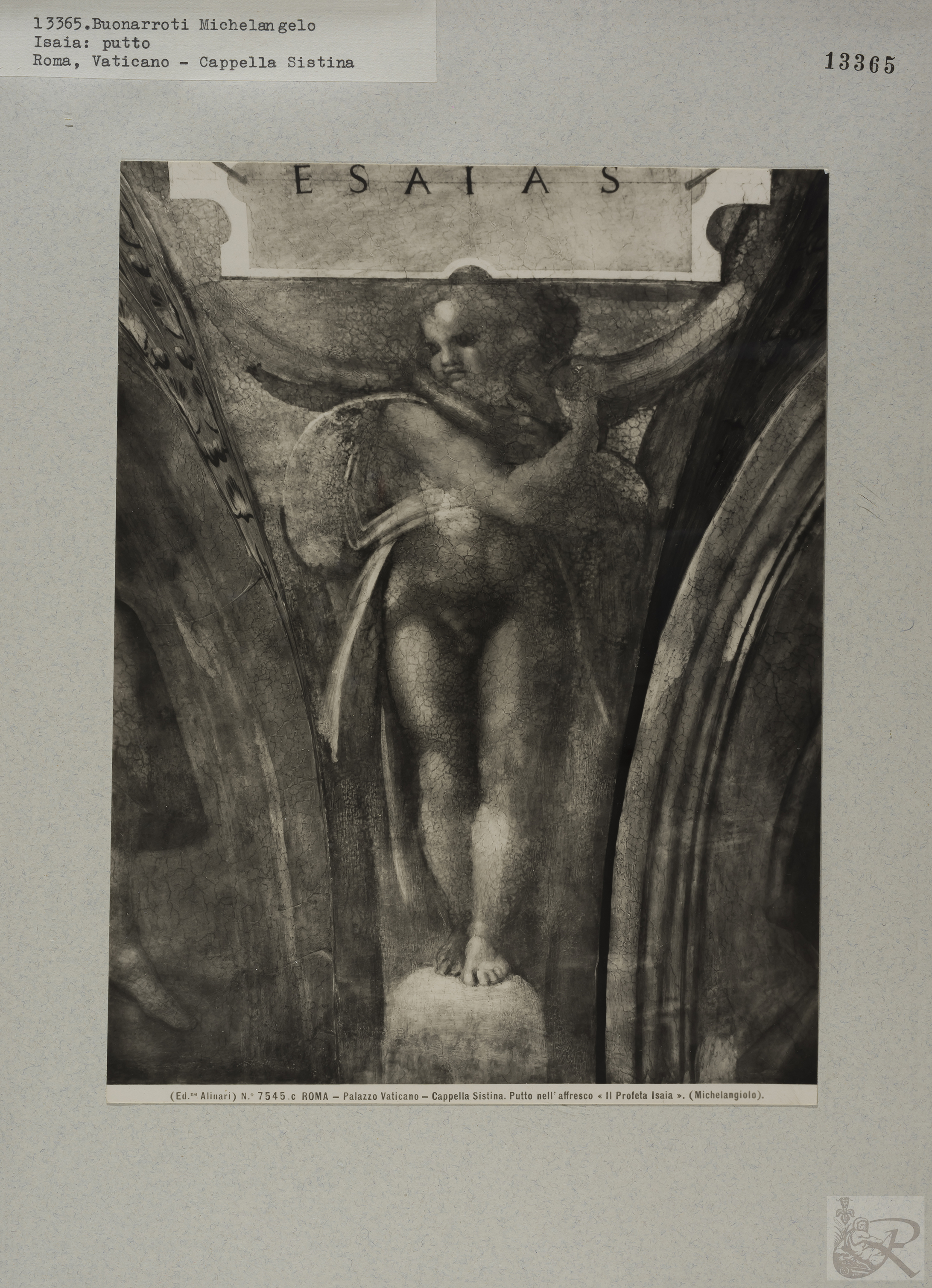 Immagine di anteprima