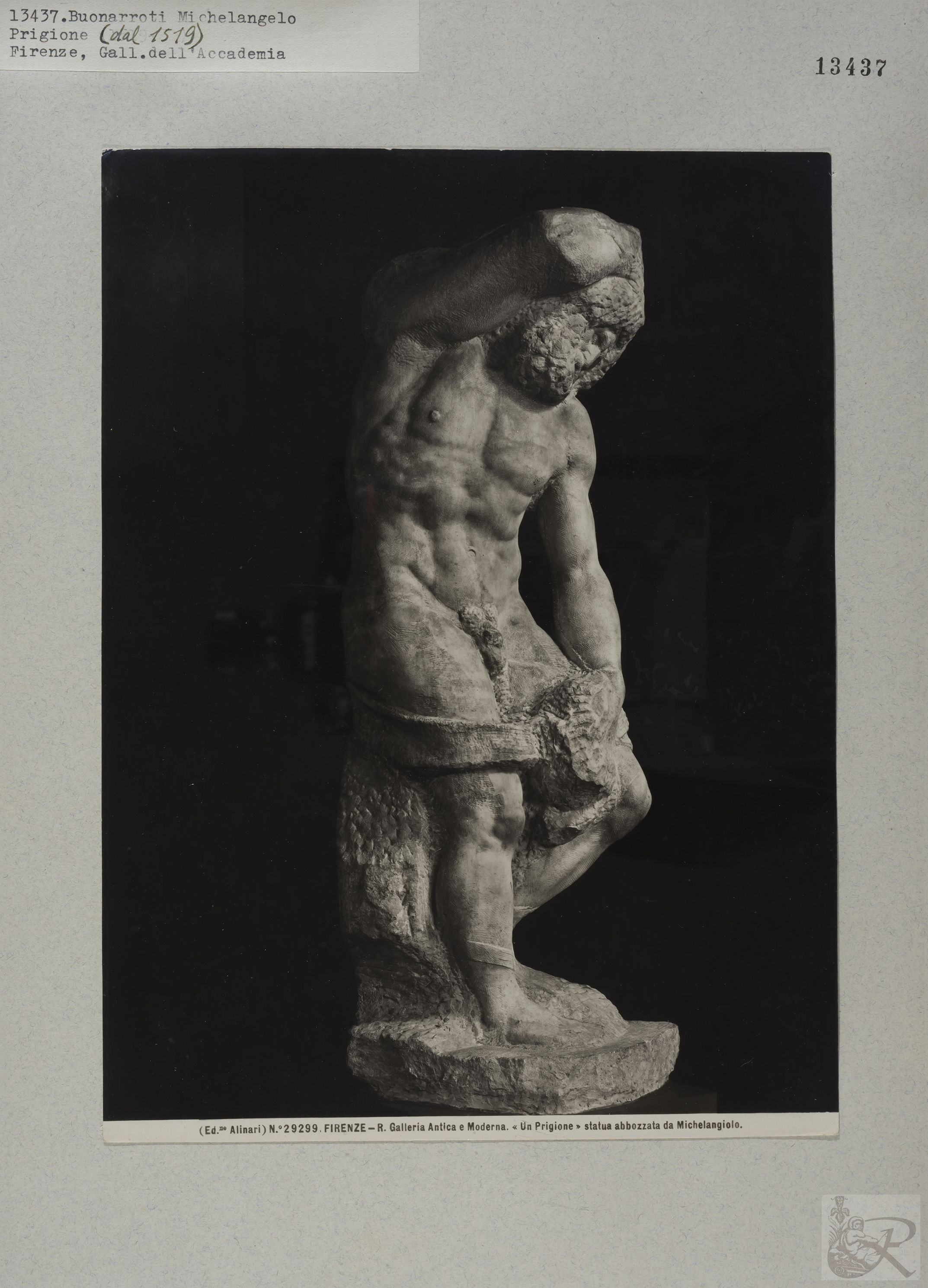 Immagine di anteprima