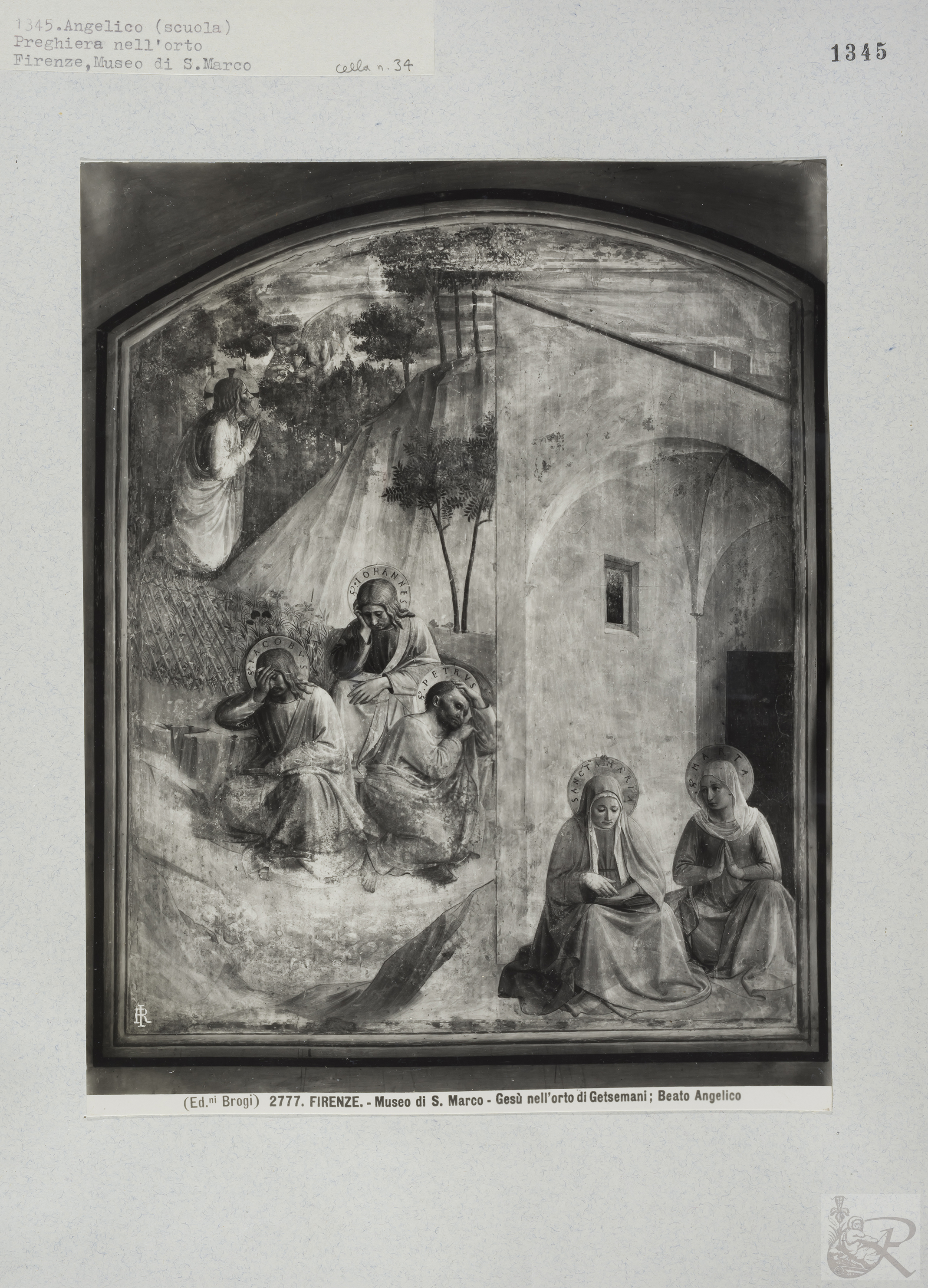 Immagine di anteprima