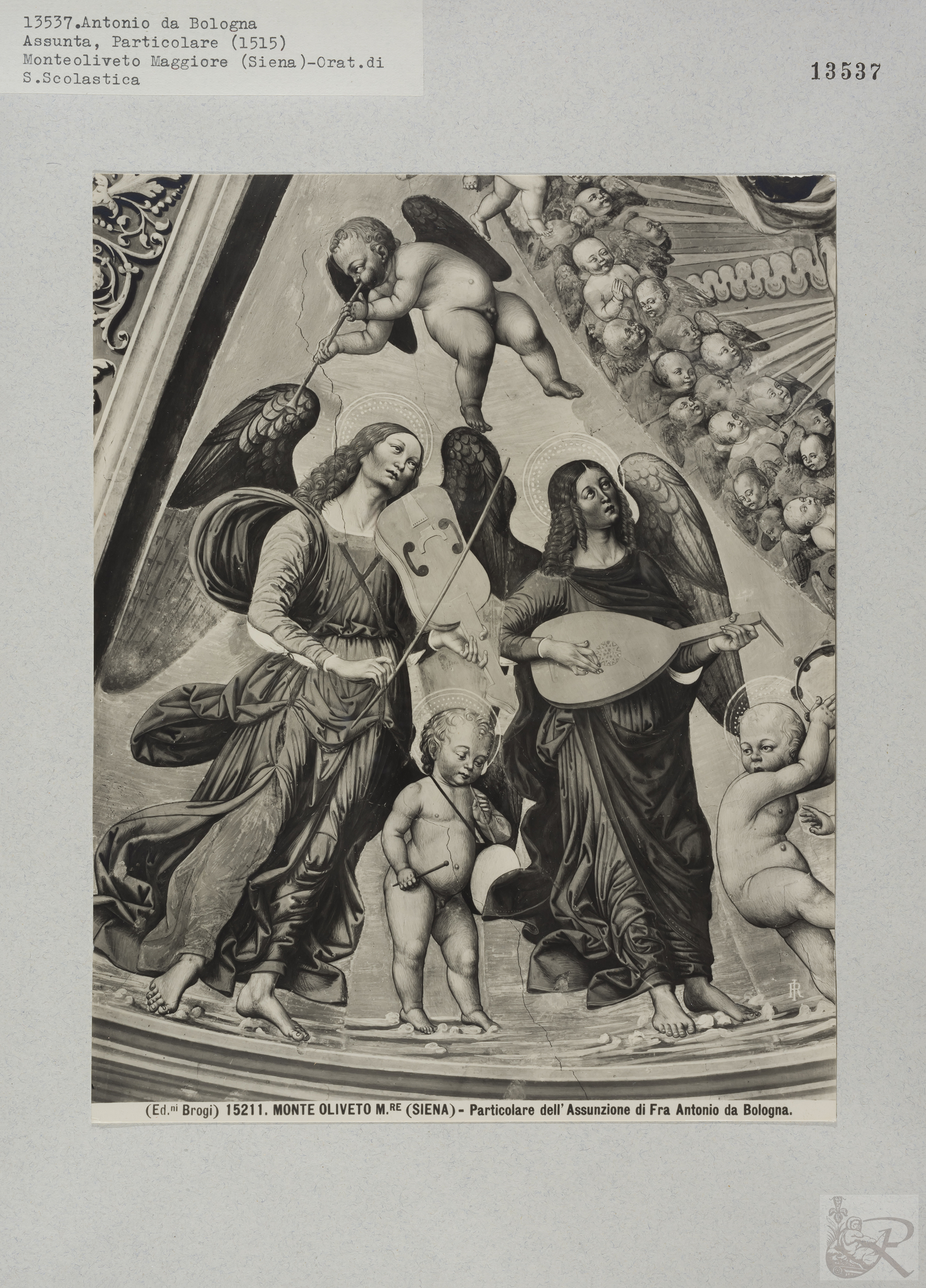 Immagine di anteprima