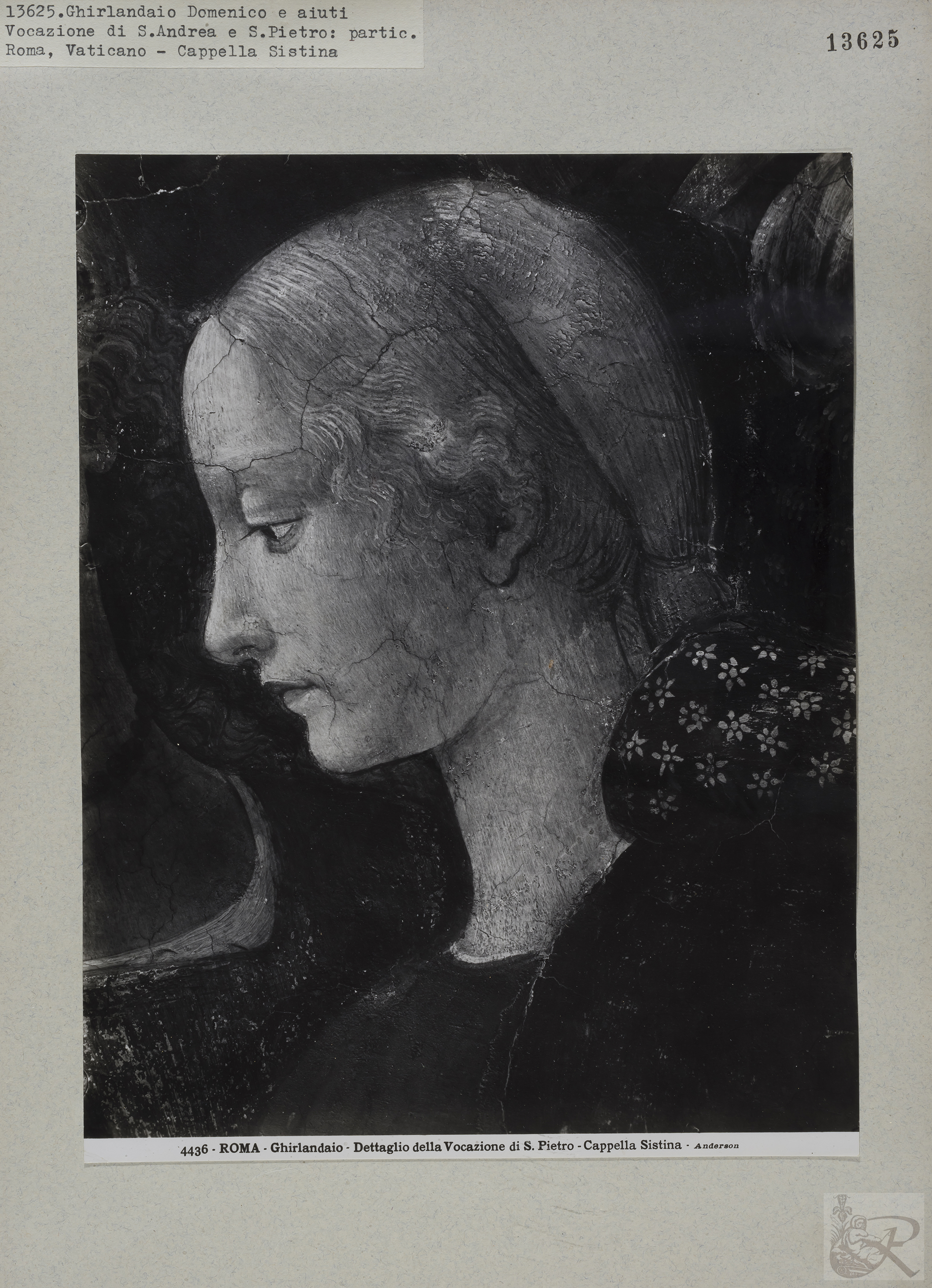 Immagine di anteprima