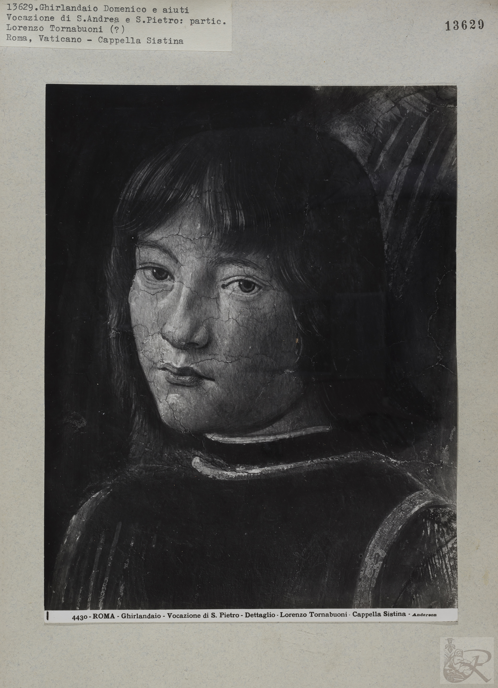 Immagine di anteprima