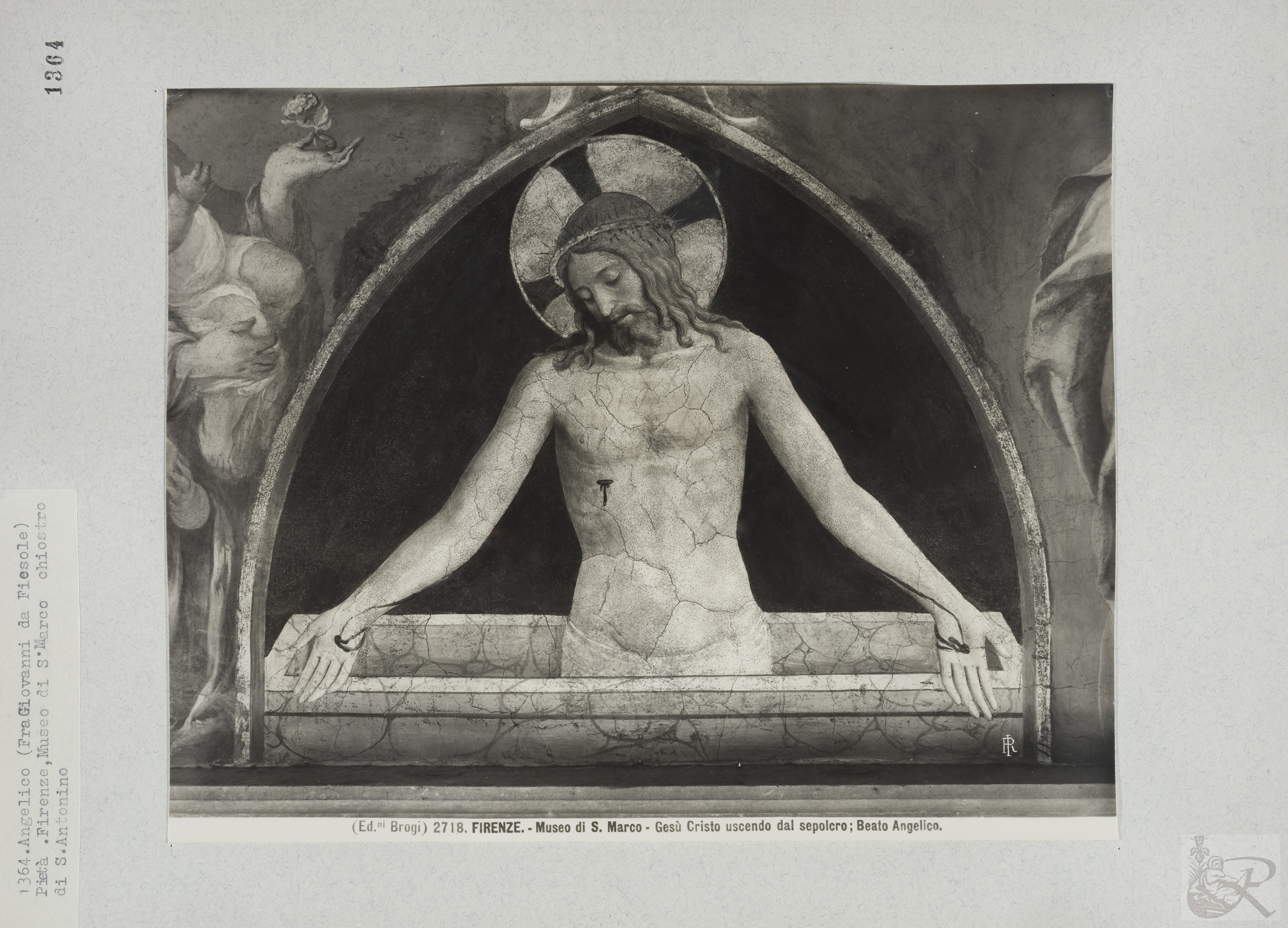 Immagine di anteprima