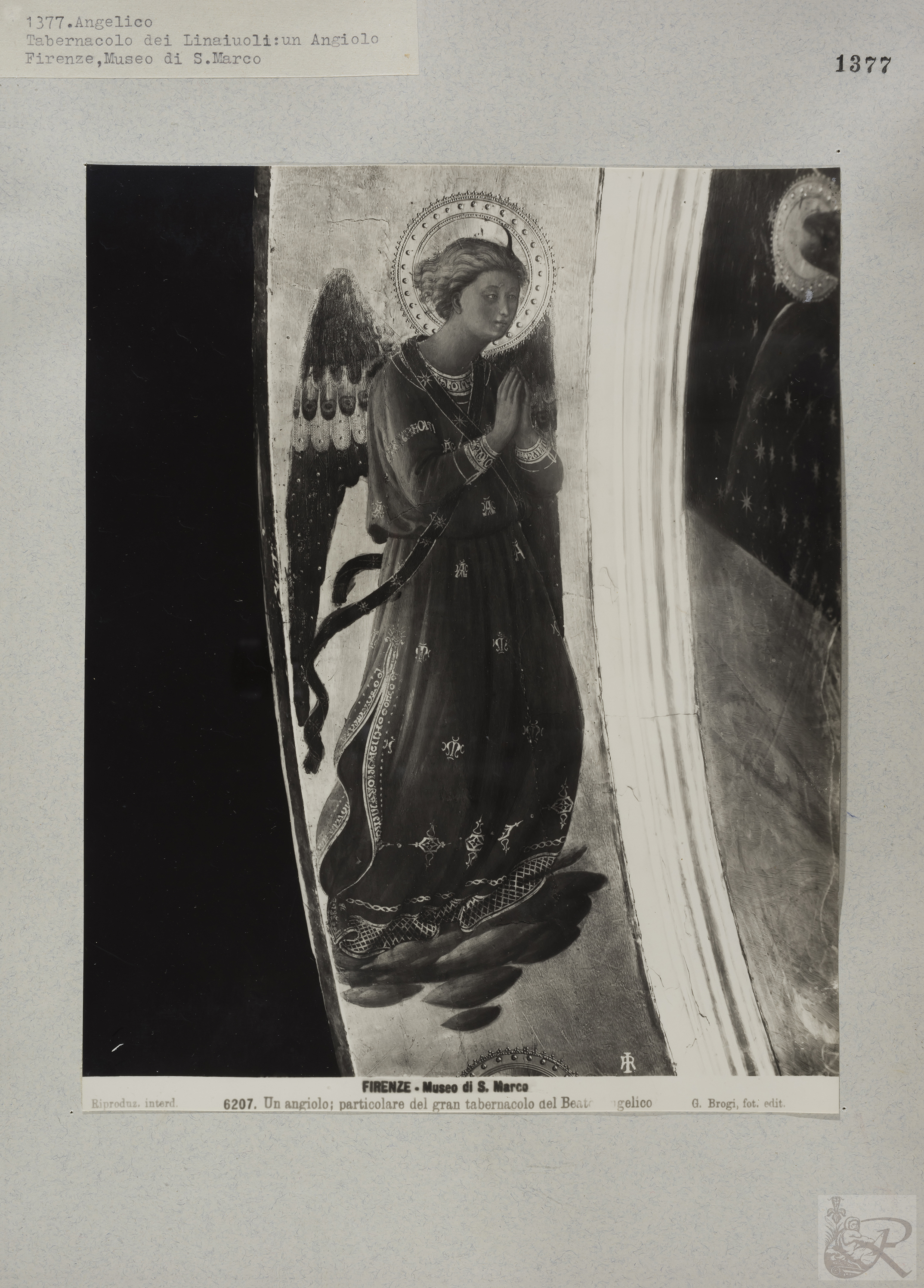 Immagine di anteprima