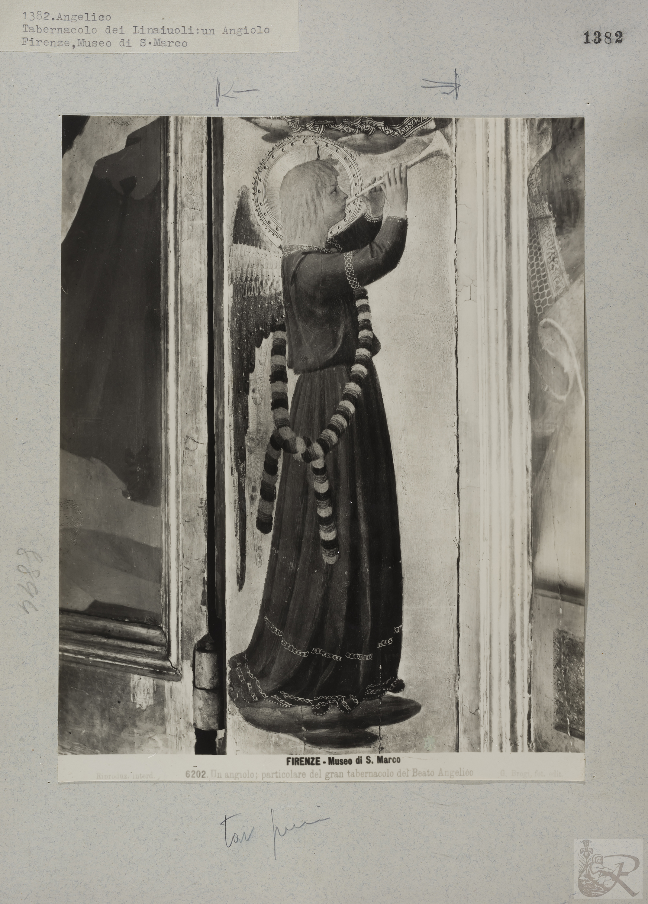 Immagine di anteprima