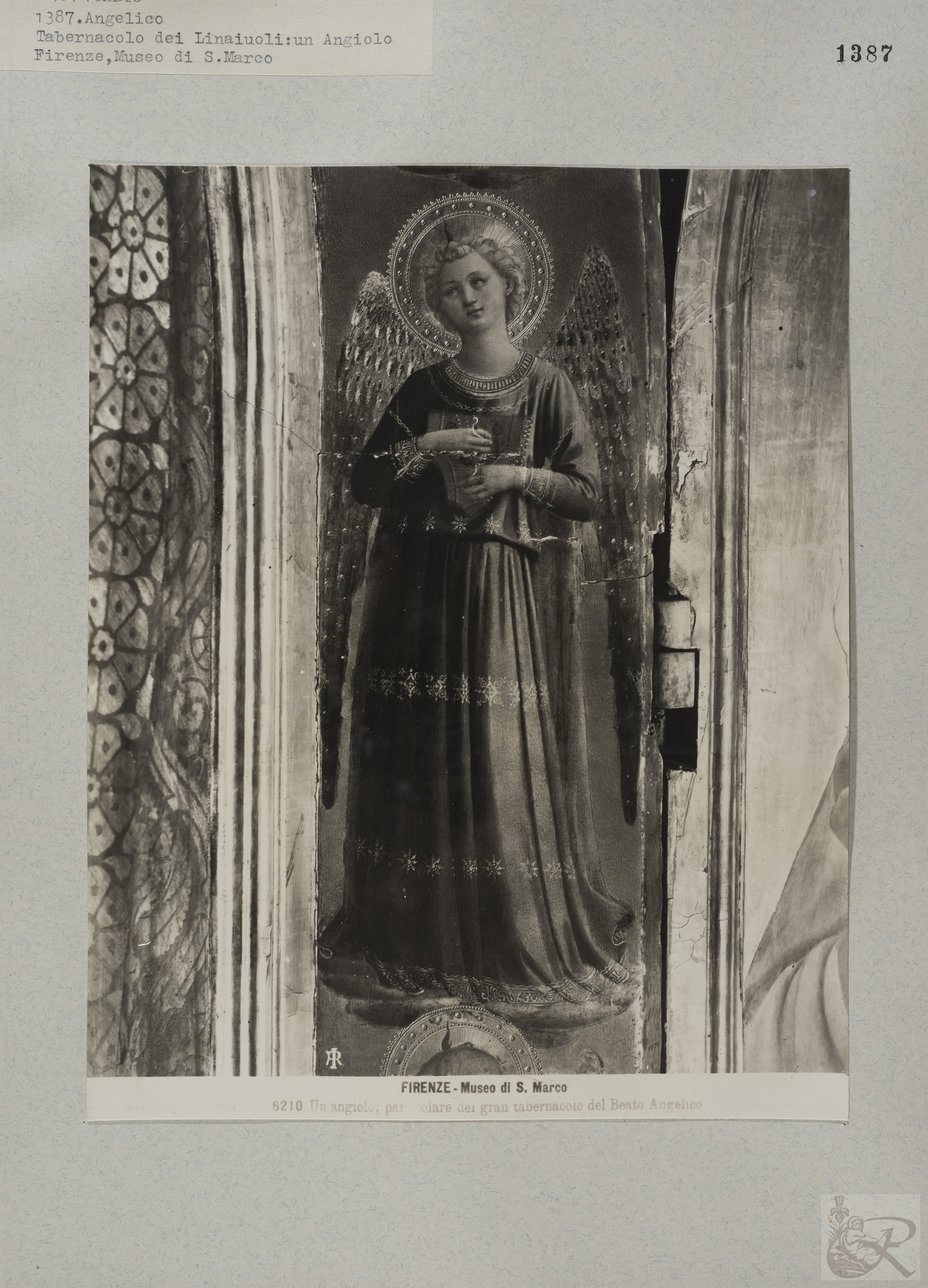 Immagine di anteprima